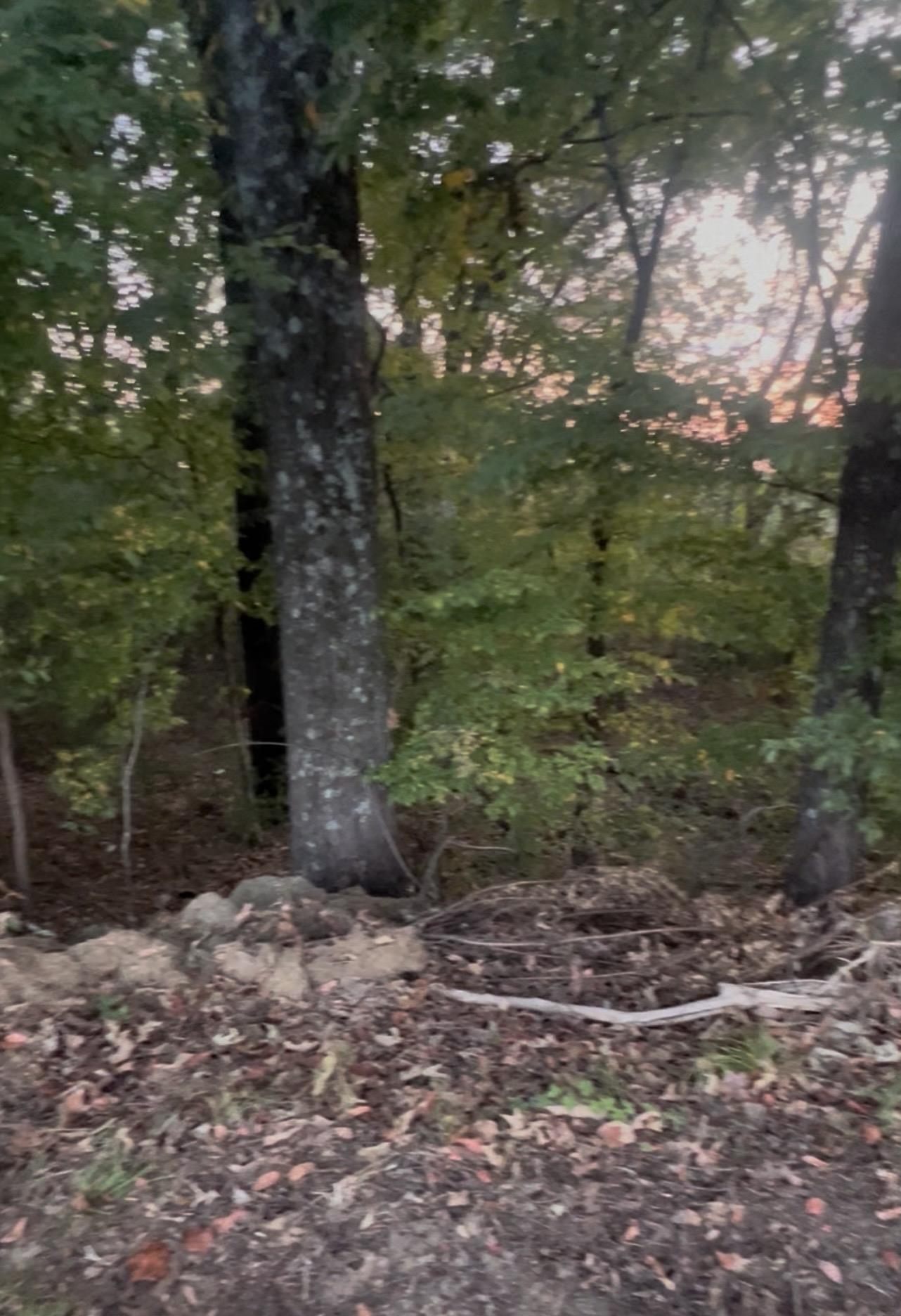 8259 Rockcreek Pky Property Photo 5