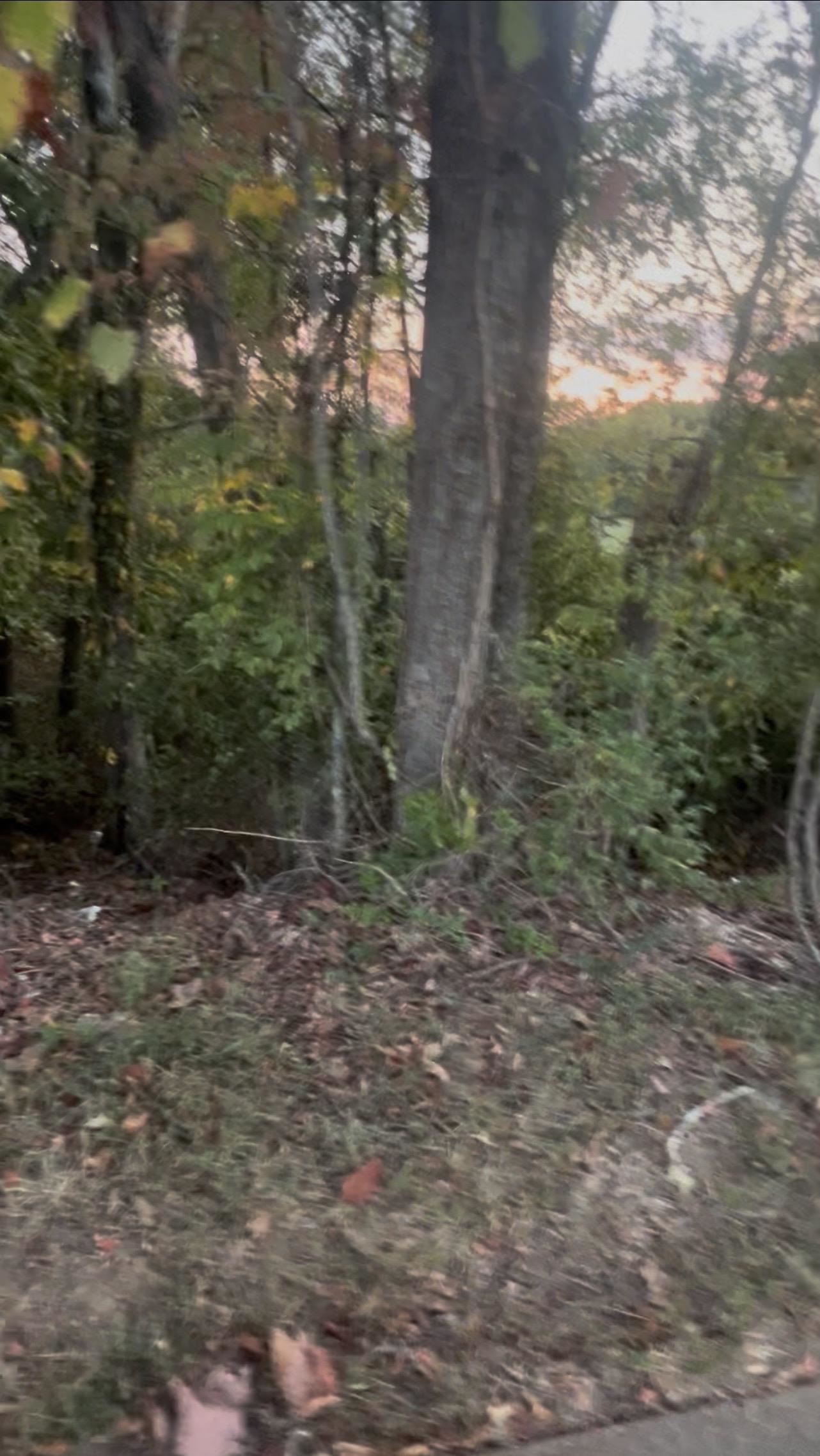 8259 Rockcreek Pky Property Photo 7