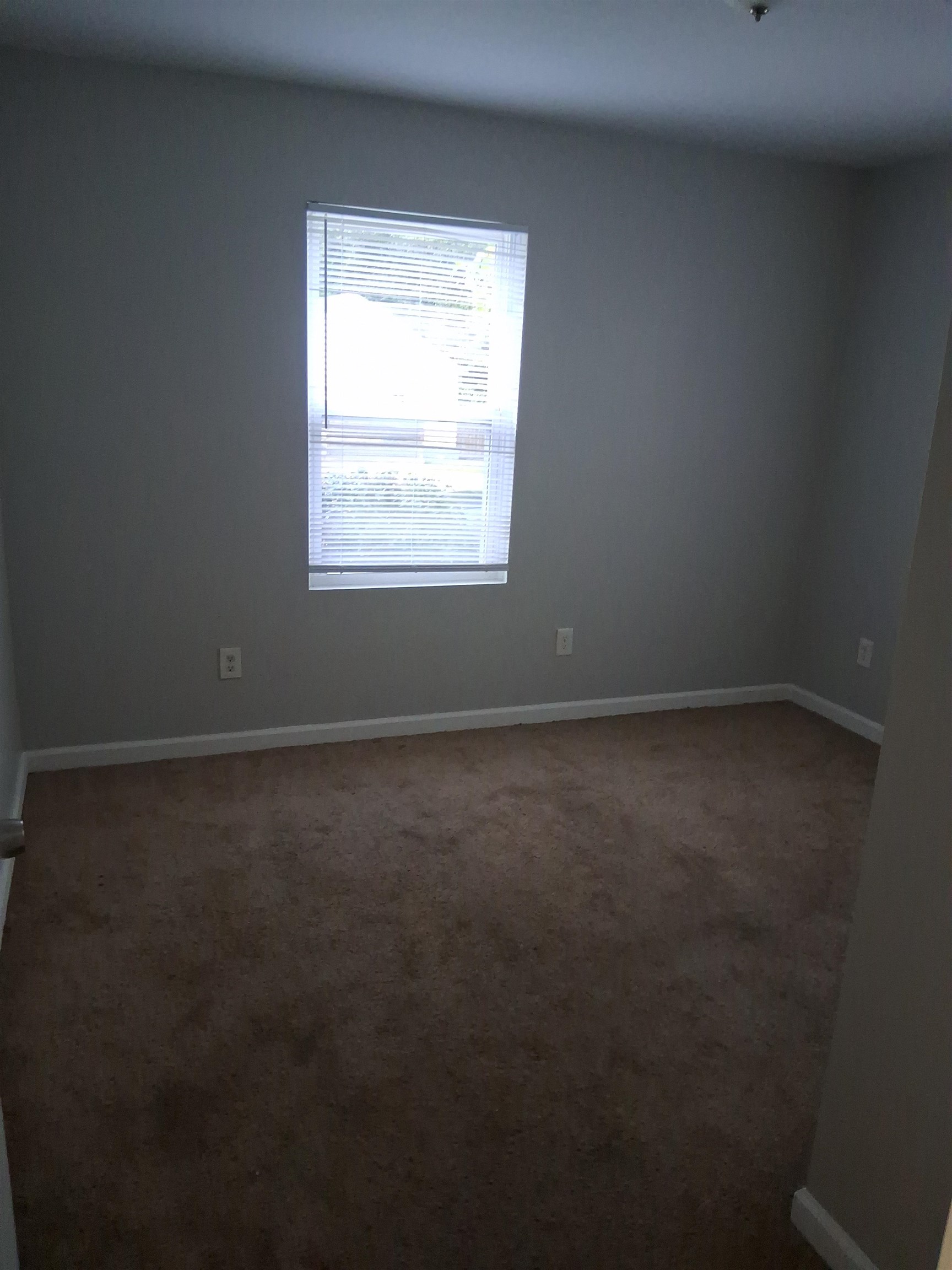 2457 Hale Ave Property Photo 4