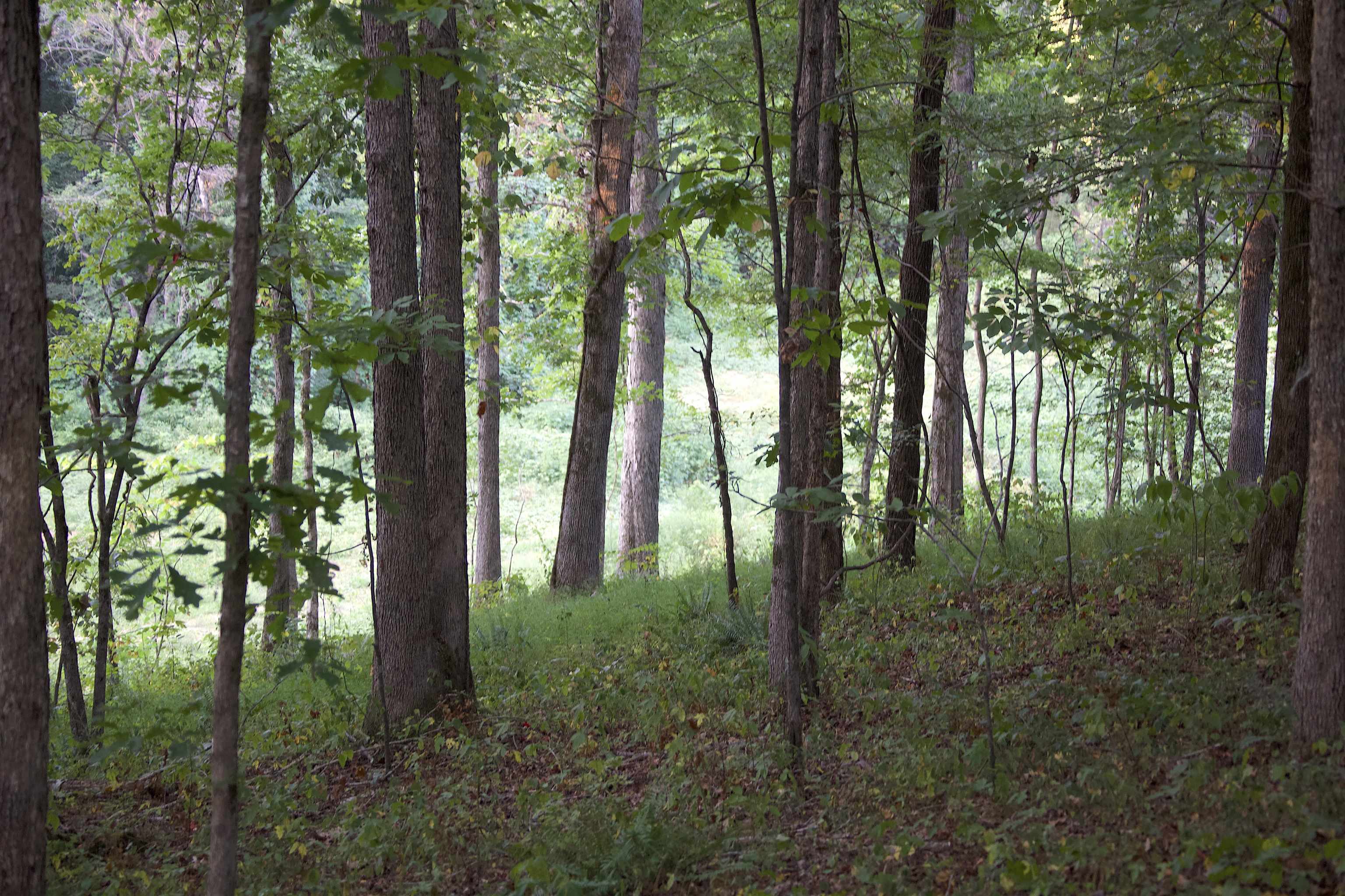 2797 Hardaway Church Rd Property Photo 2