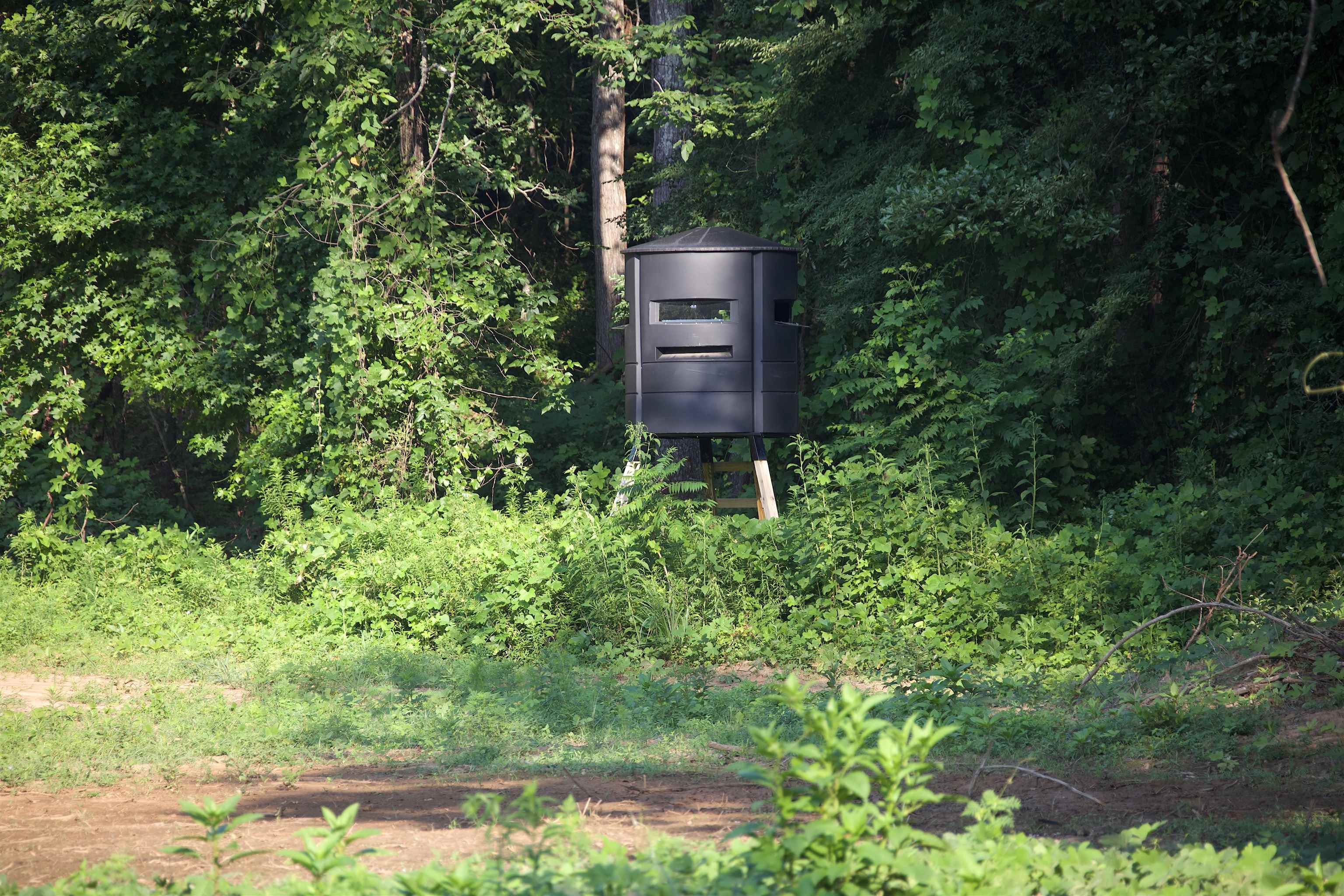 2797 Hardaway Church Rd Property Photo 4