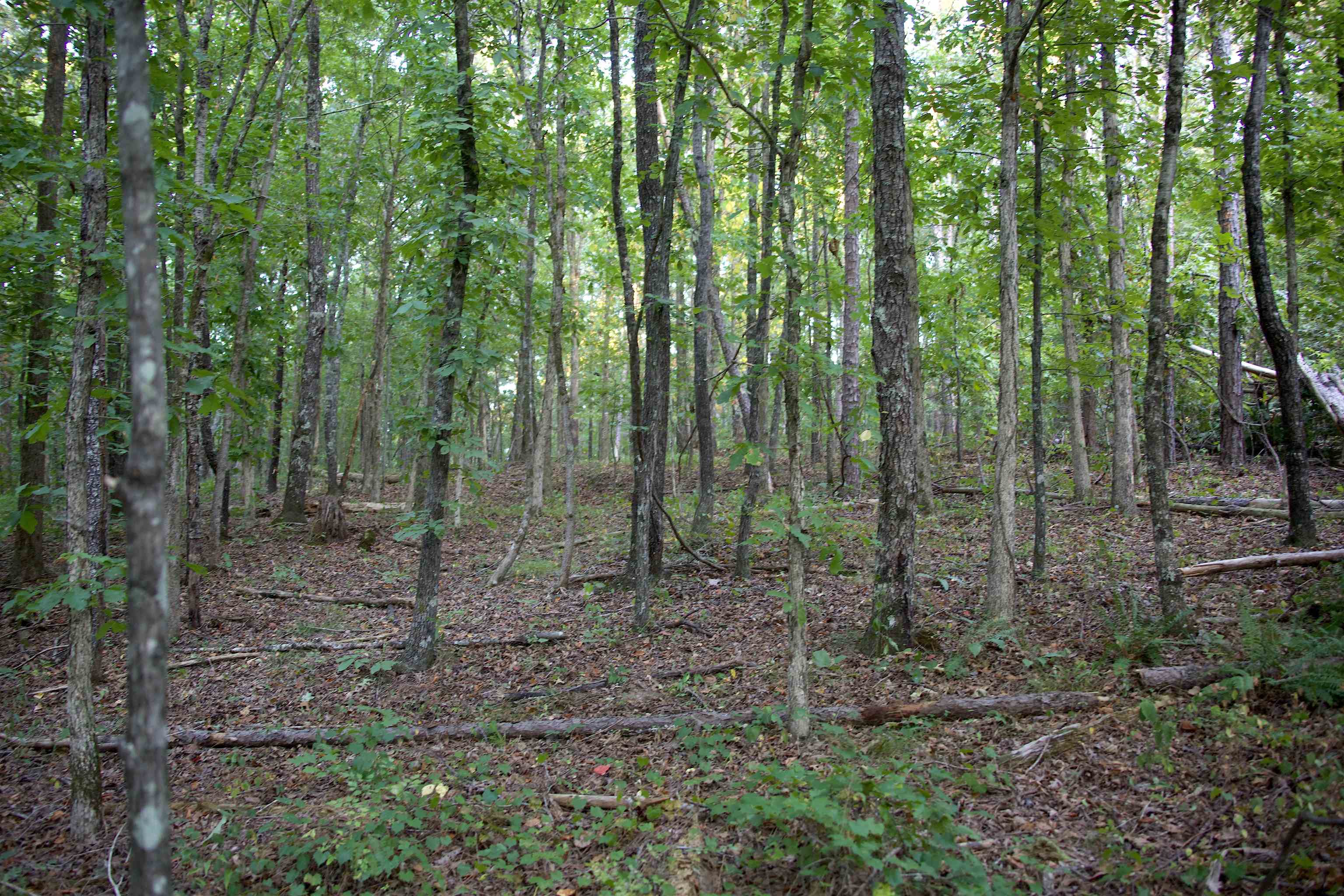 2797 Hardaway Church Rd Property Photo 8