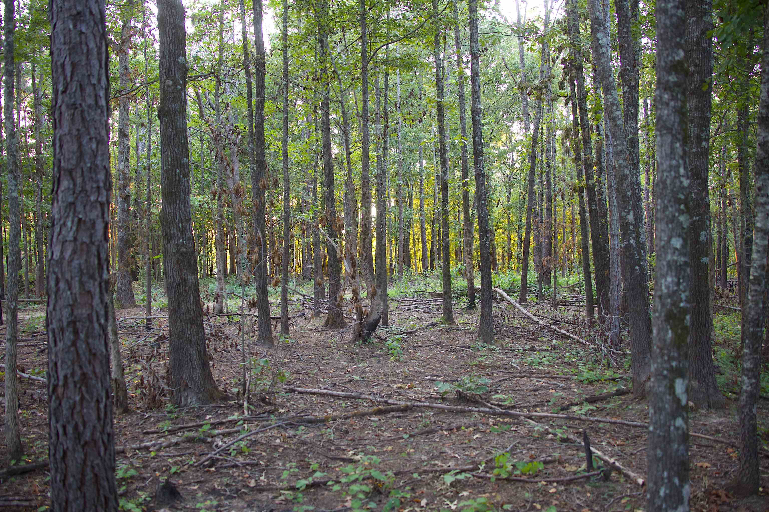 2797 Hardaway Church Rd Property Photo 10