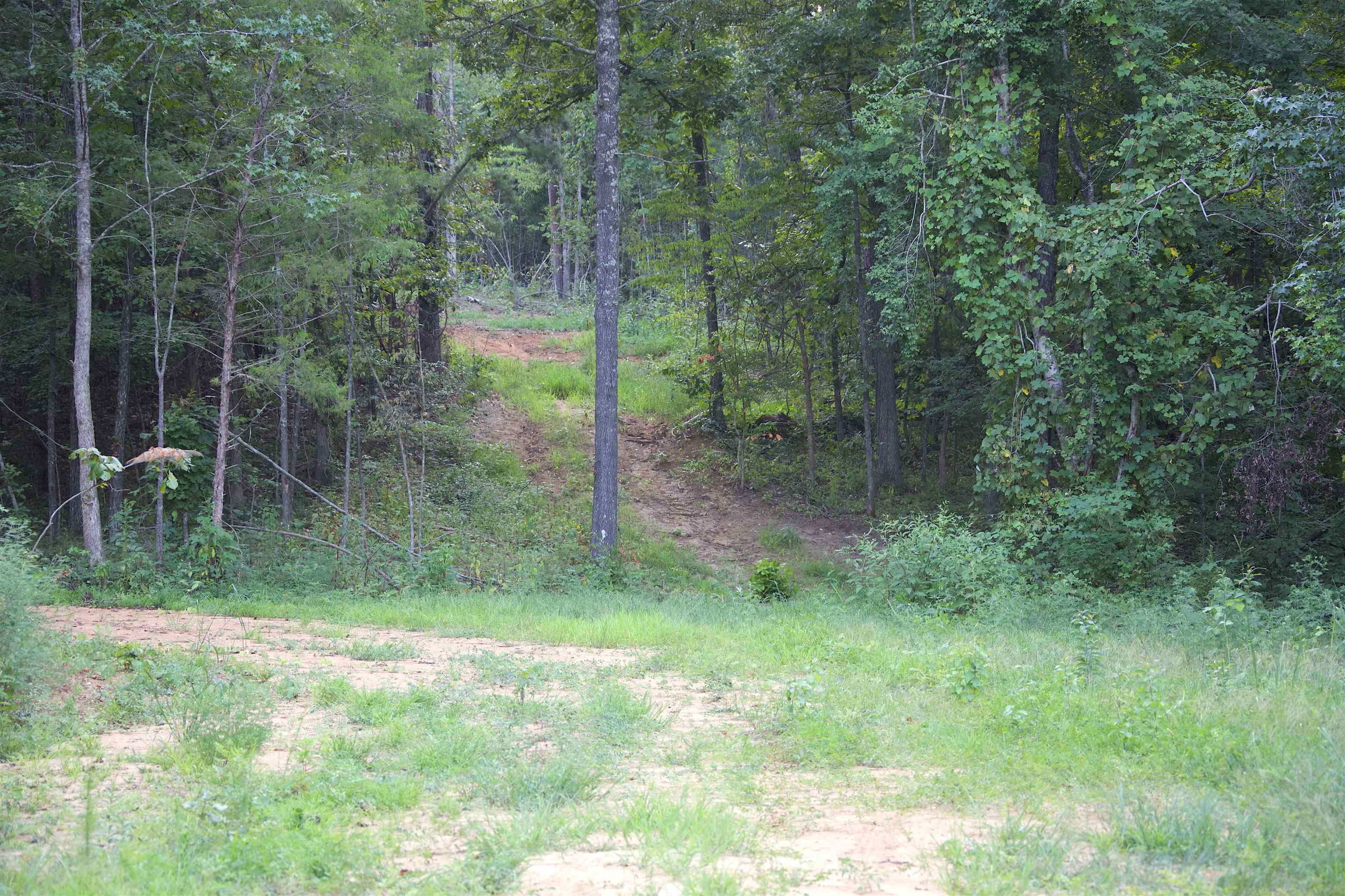 2797 Hardaway Church Rd Property Photo 11