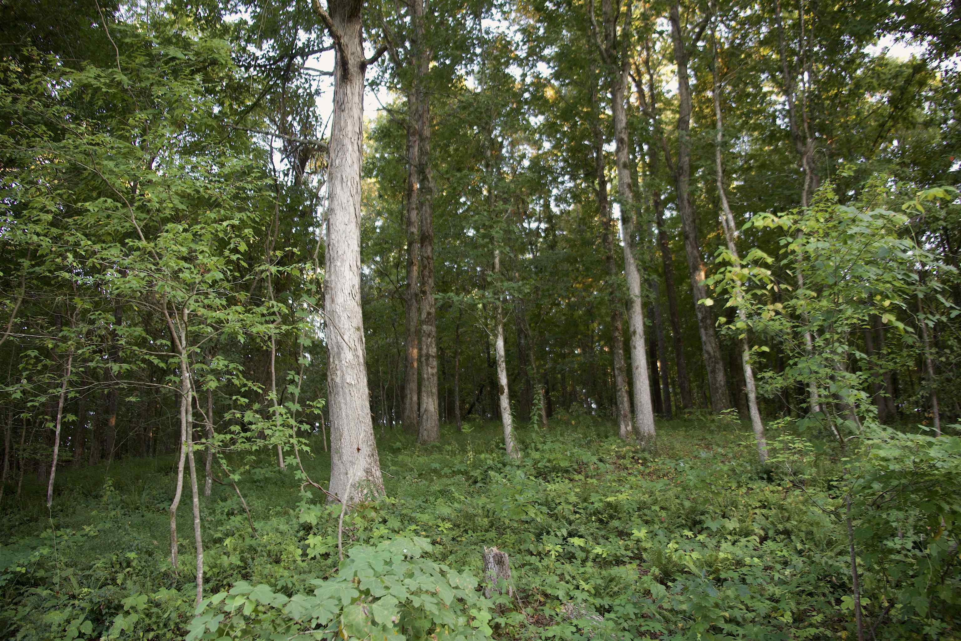 2797 Hardaway Church Rd Property Photo 12