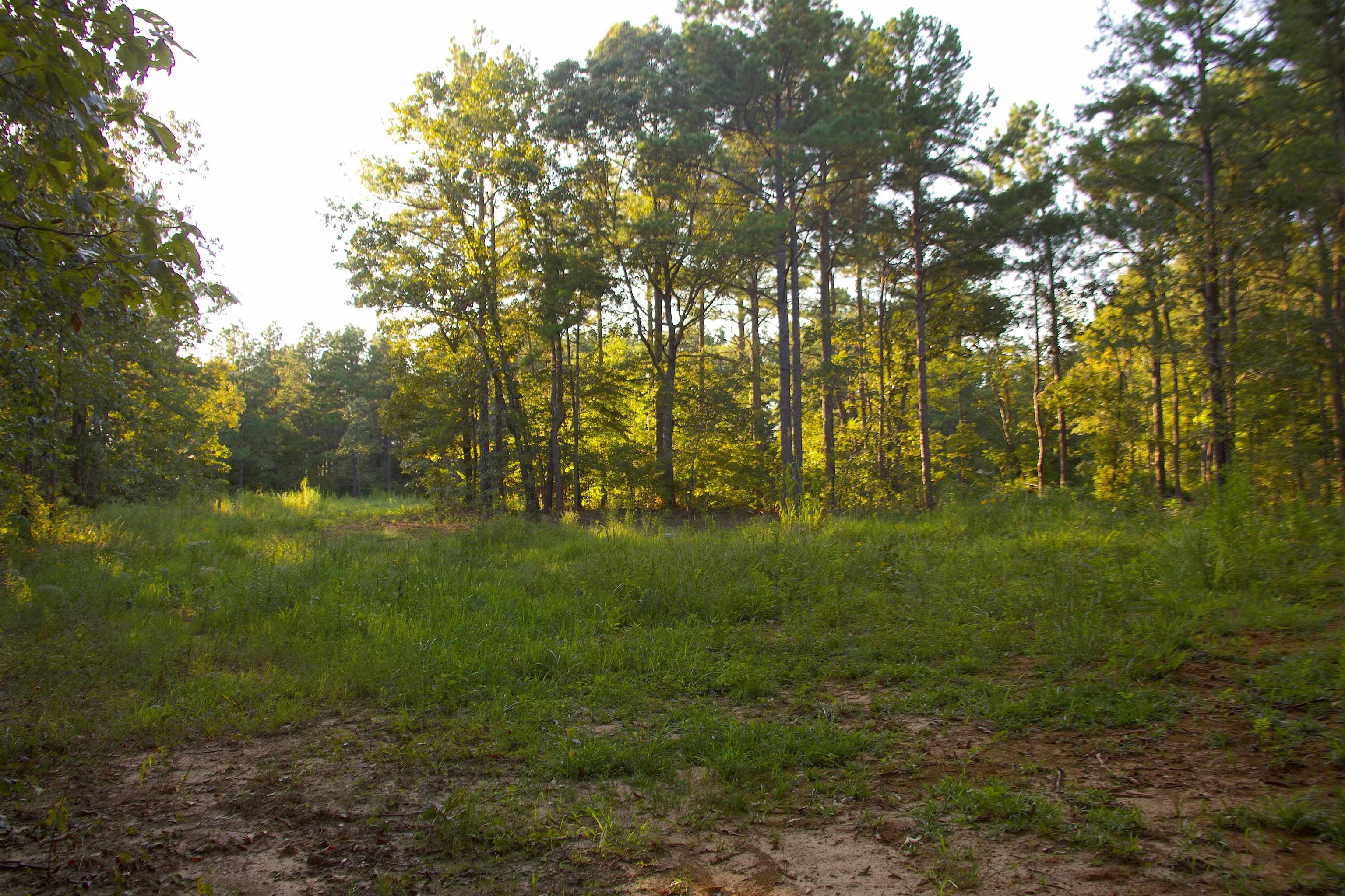 2797 Hardaway Church Rd Property Photo 14