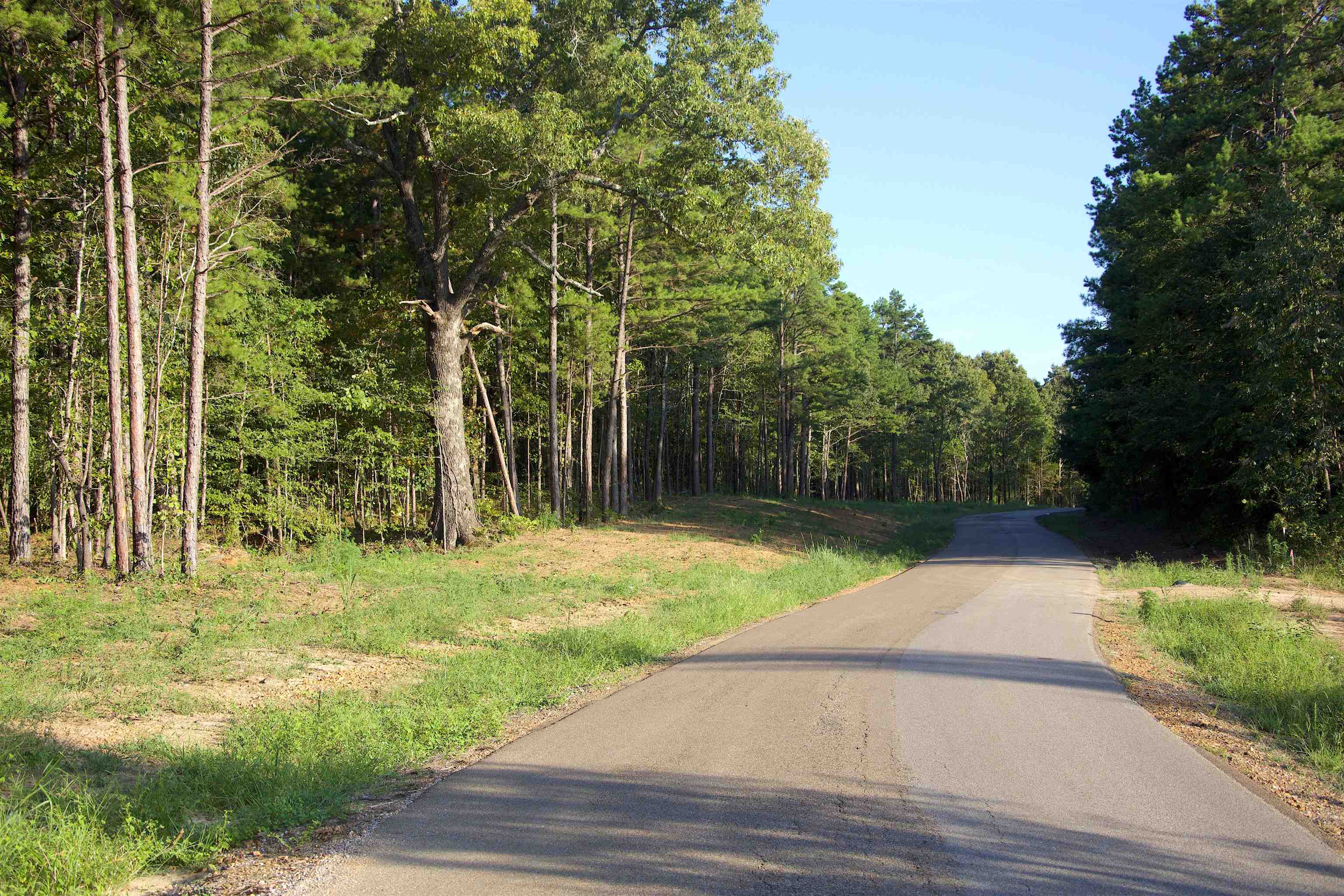 2797 Hardaway Church Rd Property Photo 15
