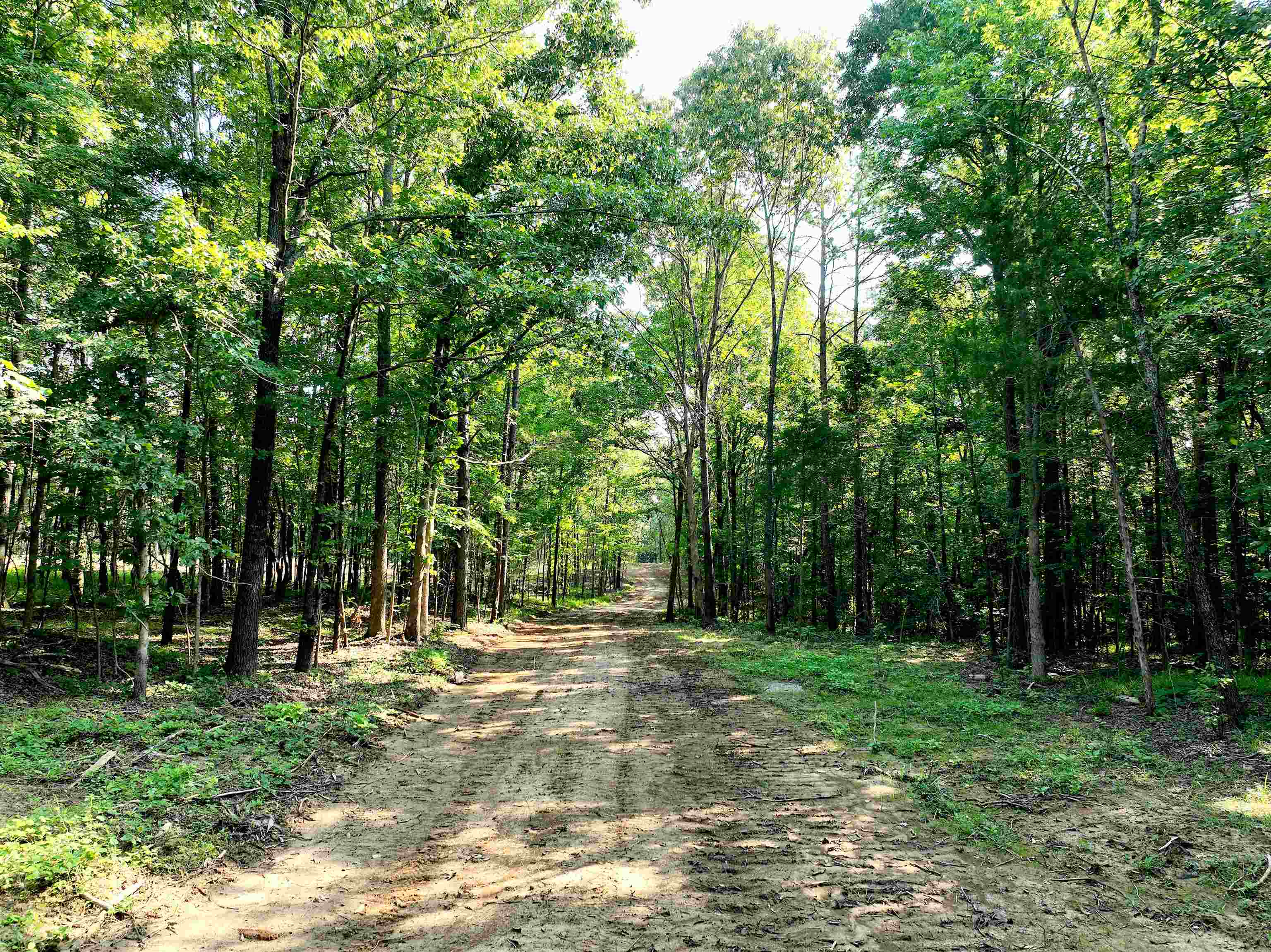 2797 Hardaway Church Rd Property Photo 16
