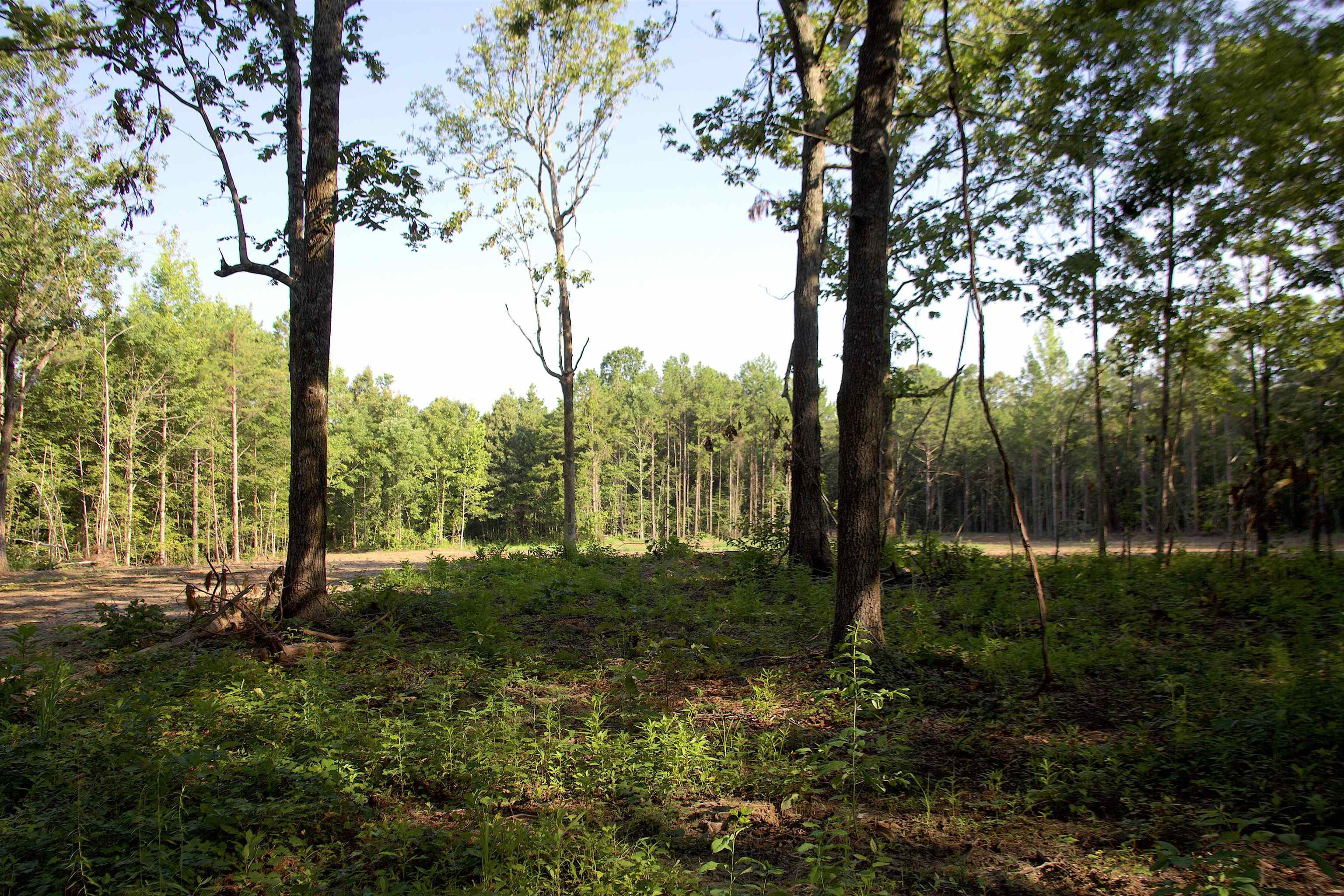 2797 Hardaway Church Rd Property Photo 18
