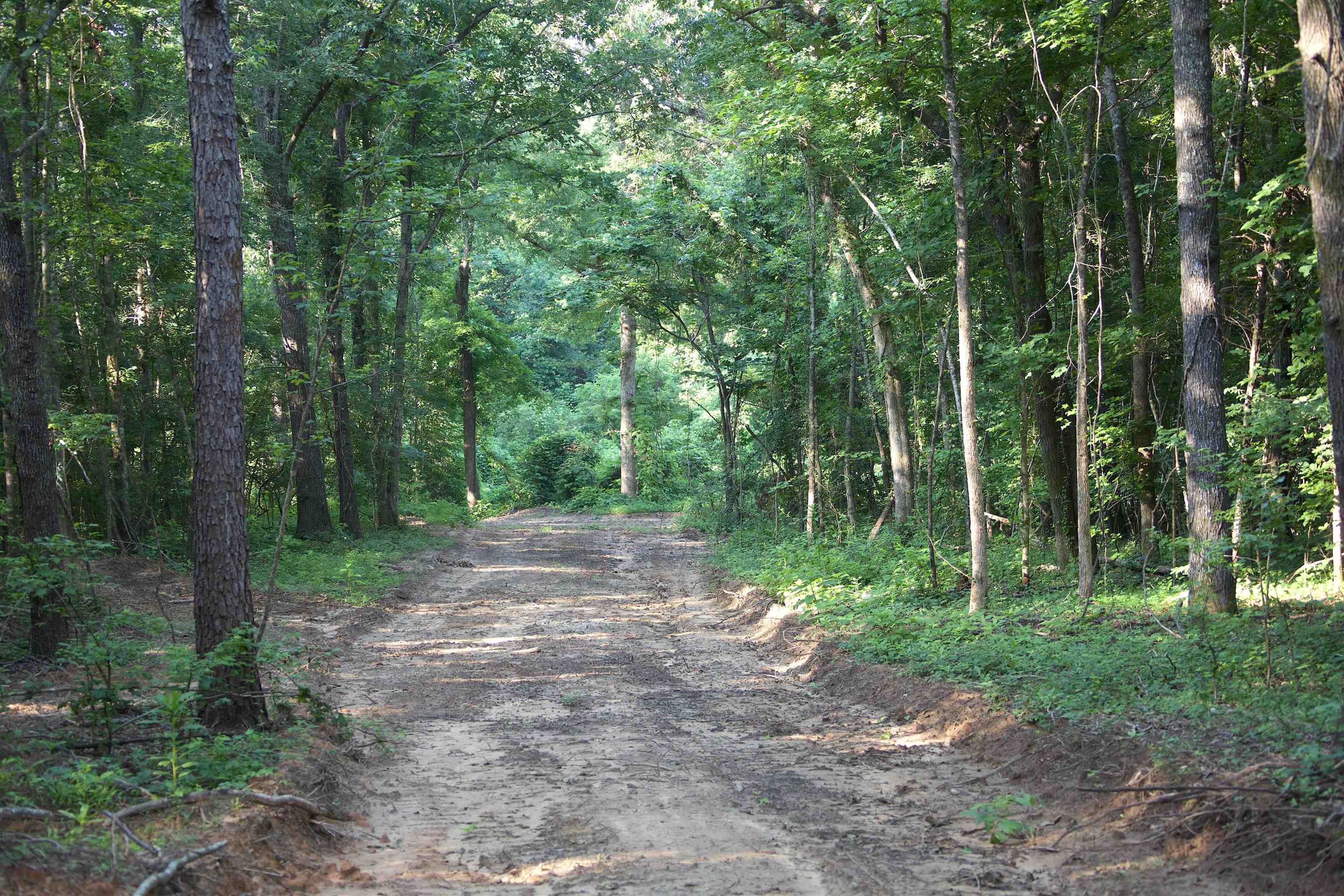 2797 Hardaway Church Rd Property Photo 19