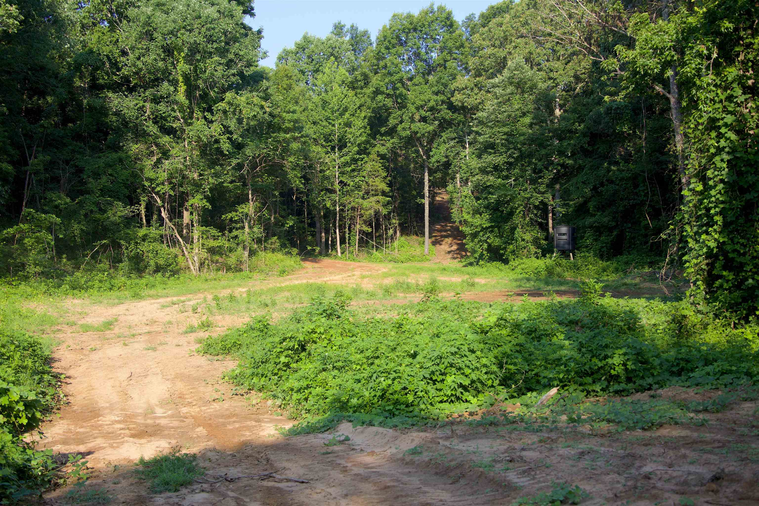 2797 Hardaway Church Rd Property Photo 20