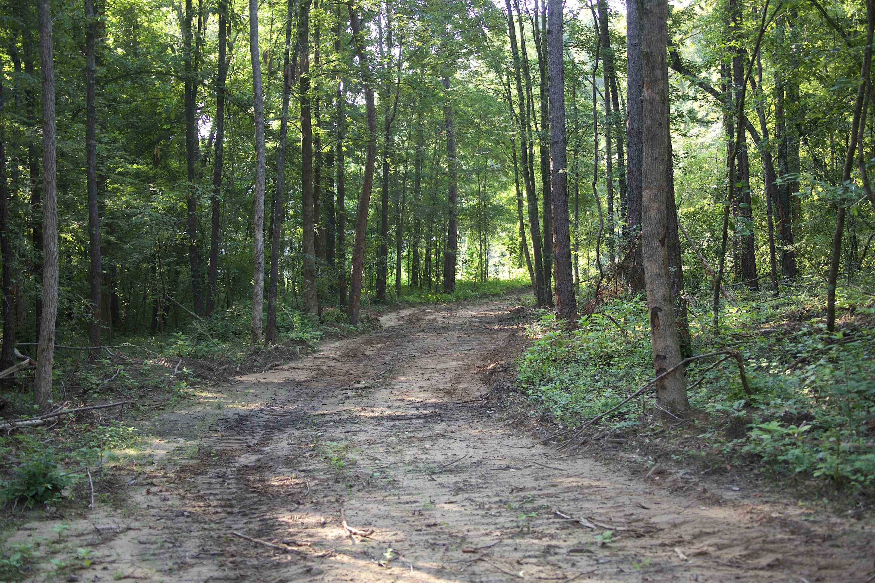 2797 Hardaway Church Rd Property Photo 21