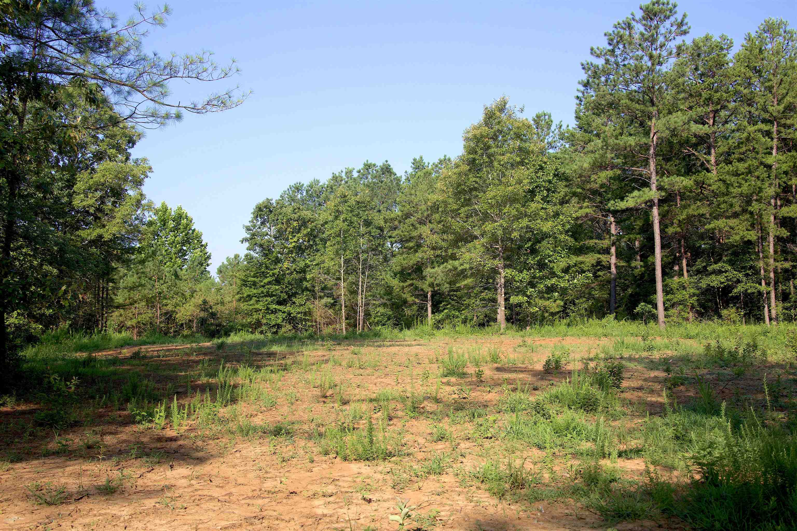 2797 Hardaway Church Rd Property Photo 23