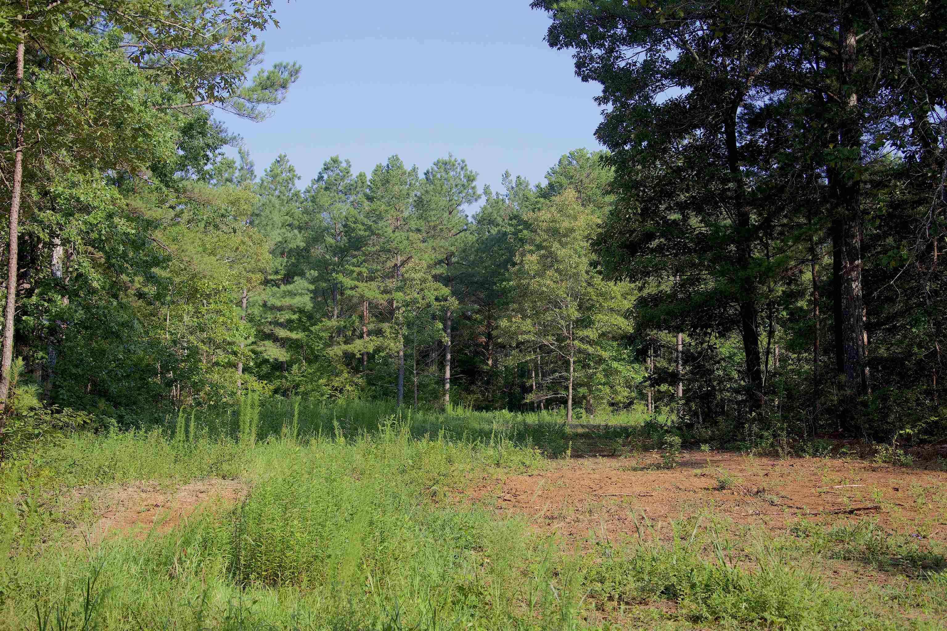 2797 Hardaway Church Rd Property Photo 24