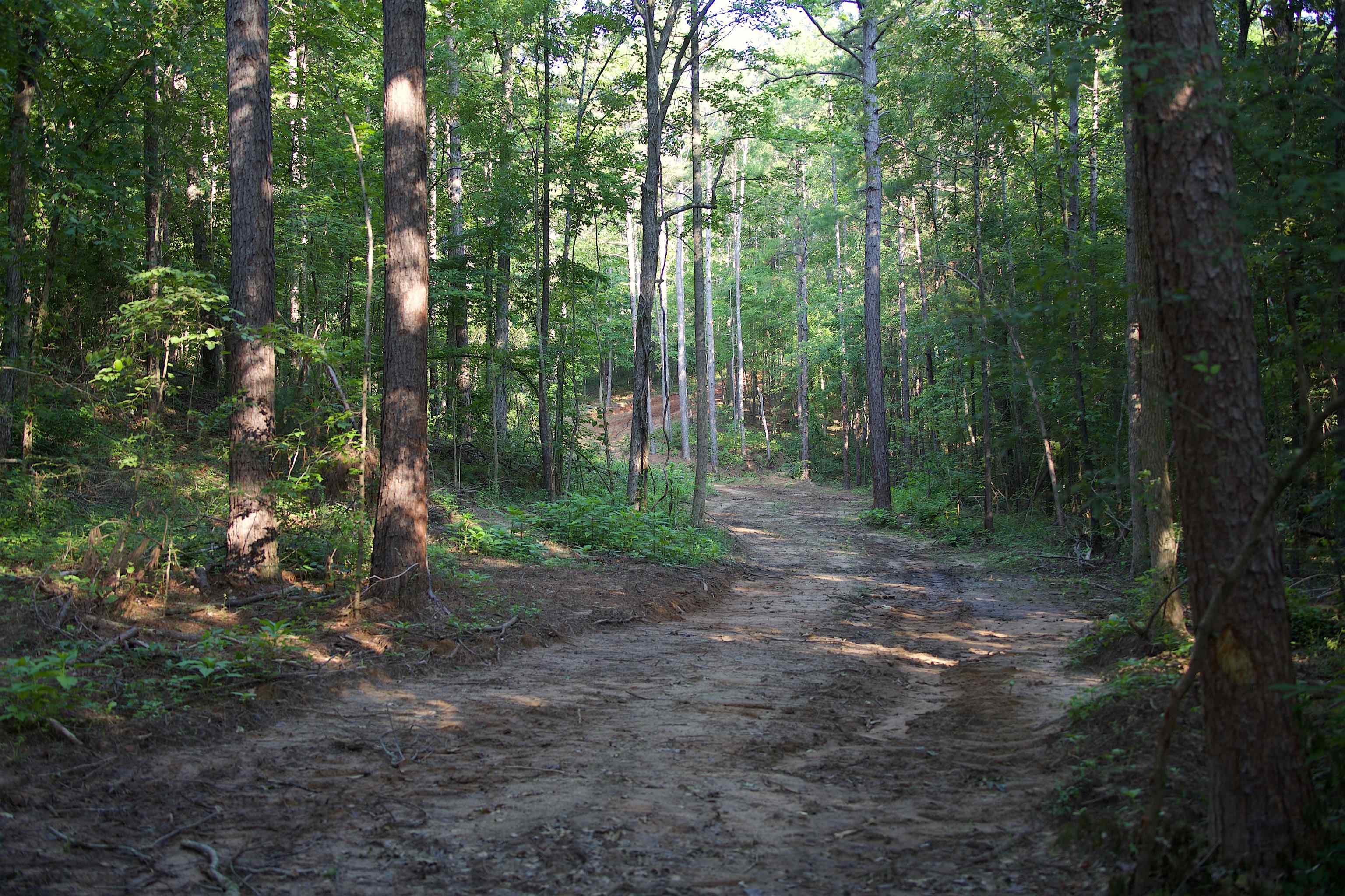 2797 Hardaway Church Rd Property Photo 25