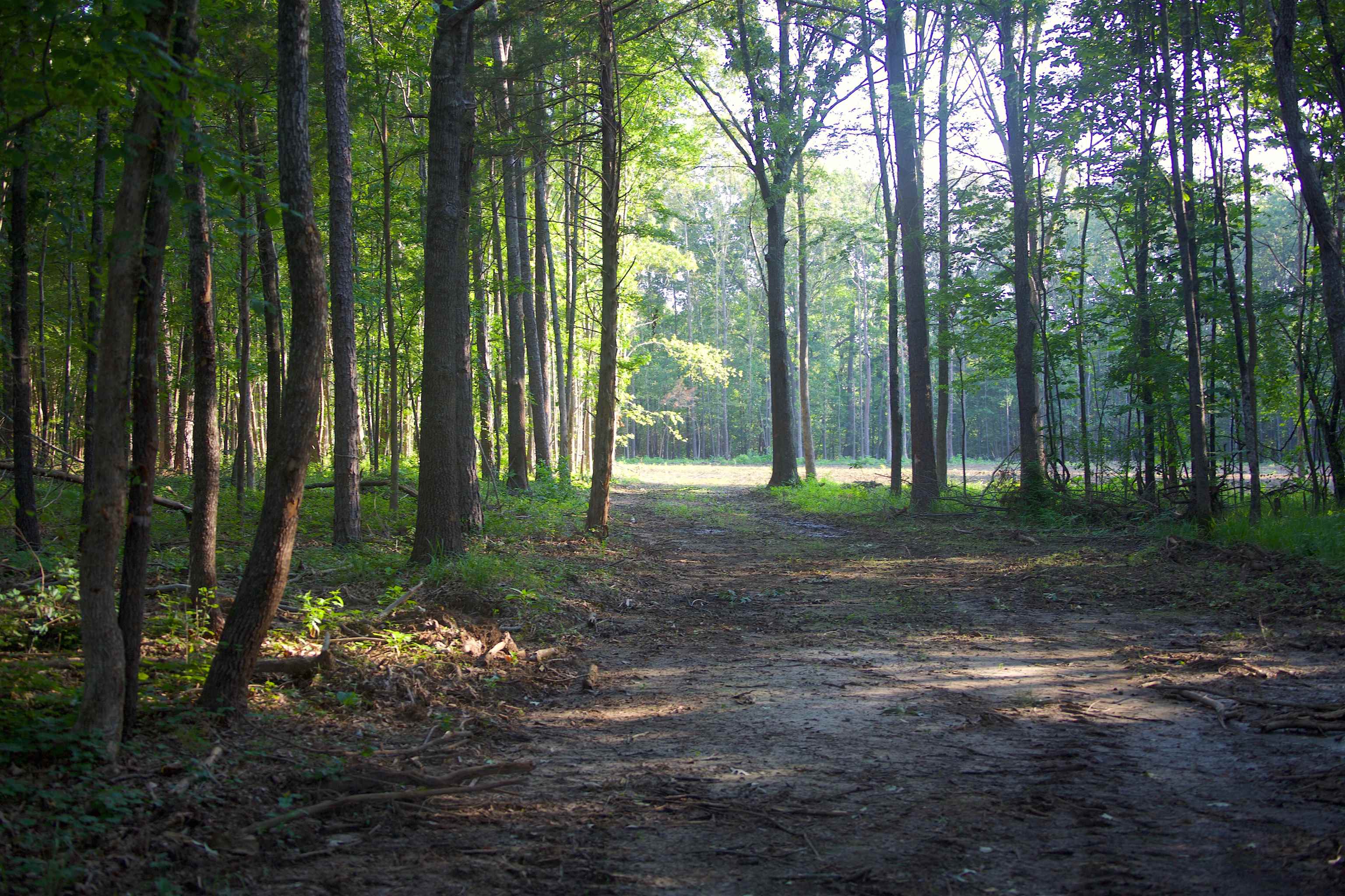 2797 Hardaway Church Rd Property Photo 27