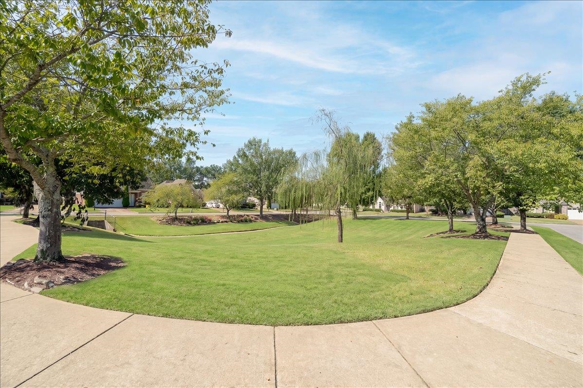 10461 Ashboro Dr Property Photo 34