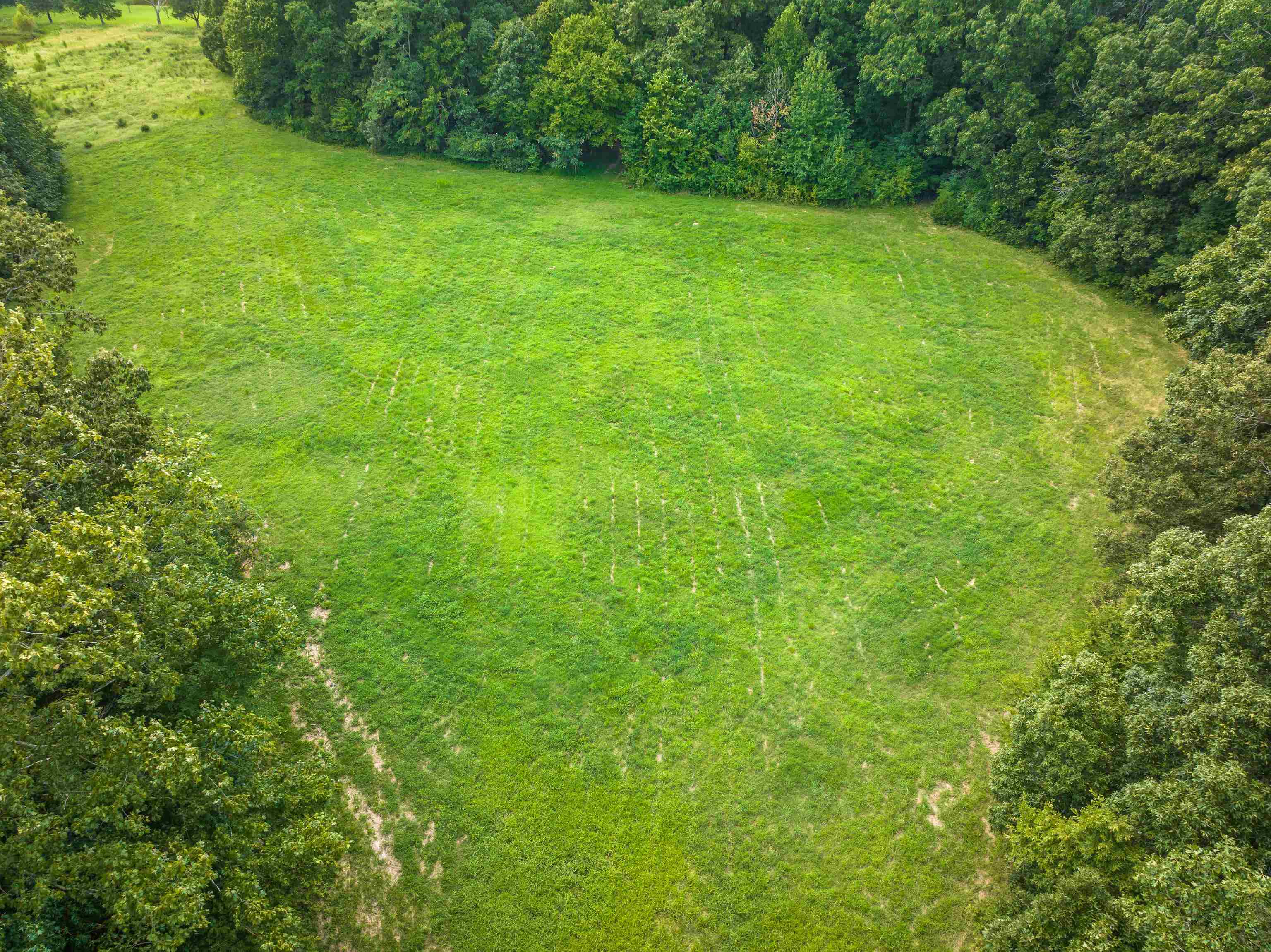 0 Old Brownsville Rd Property Photo 12