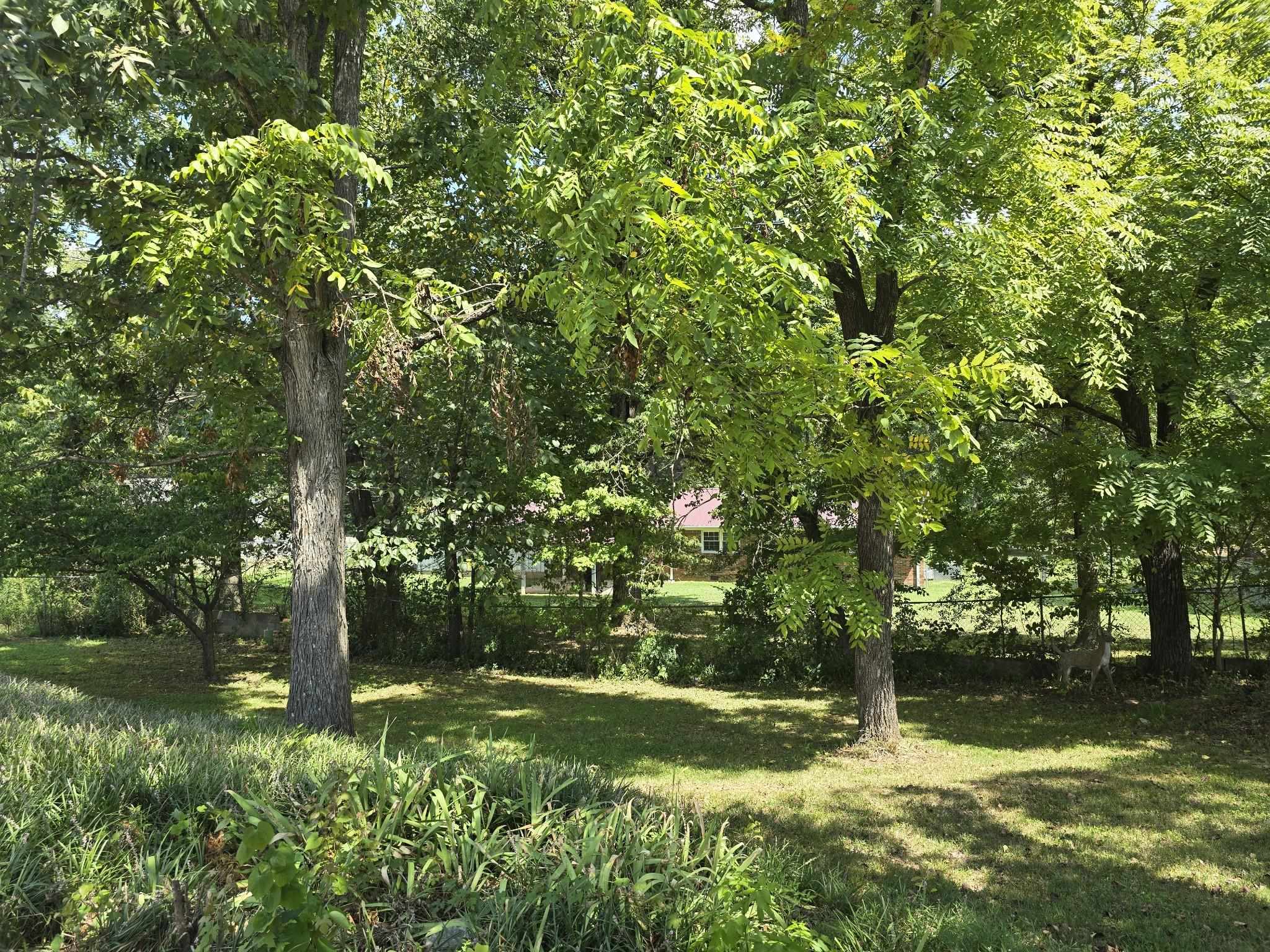 691 E Poplar Dr Property Photo 40