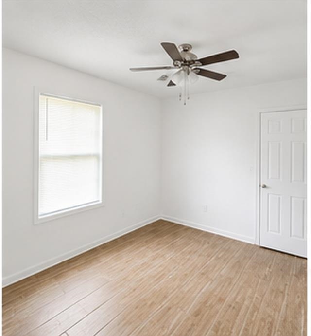 589 W Gilleas Rd Property Photo 6