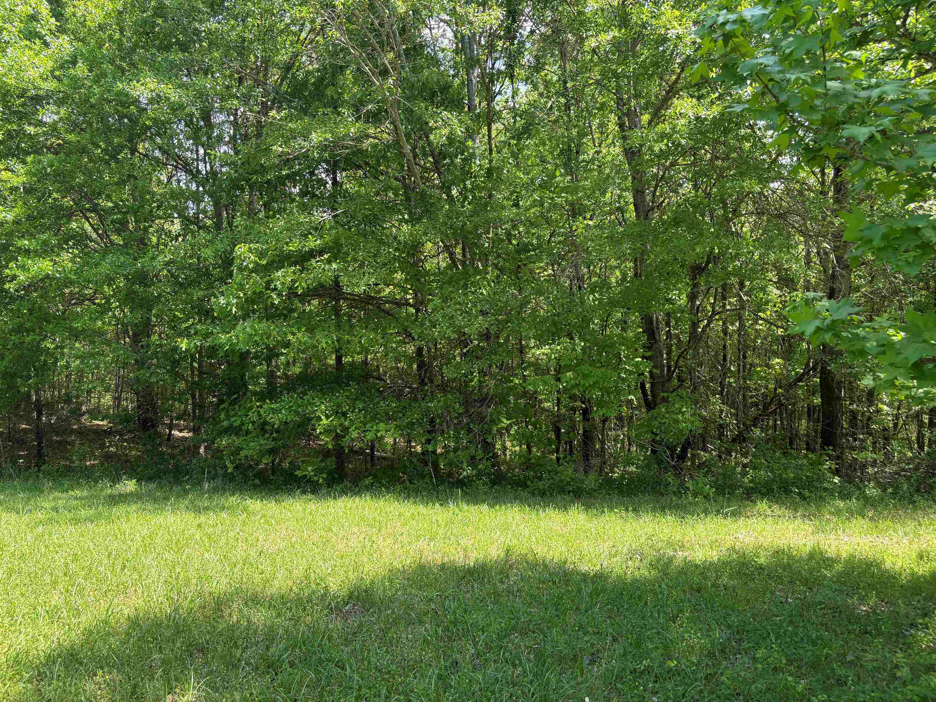 0 Osborntown Rd 60 Property Photo 12
