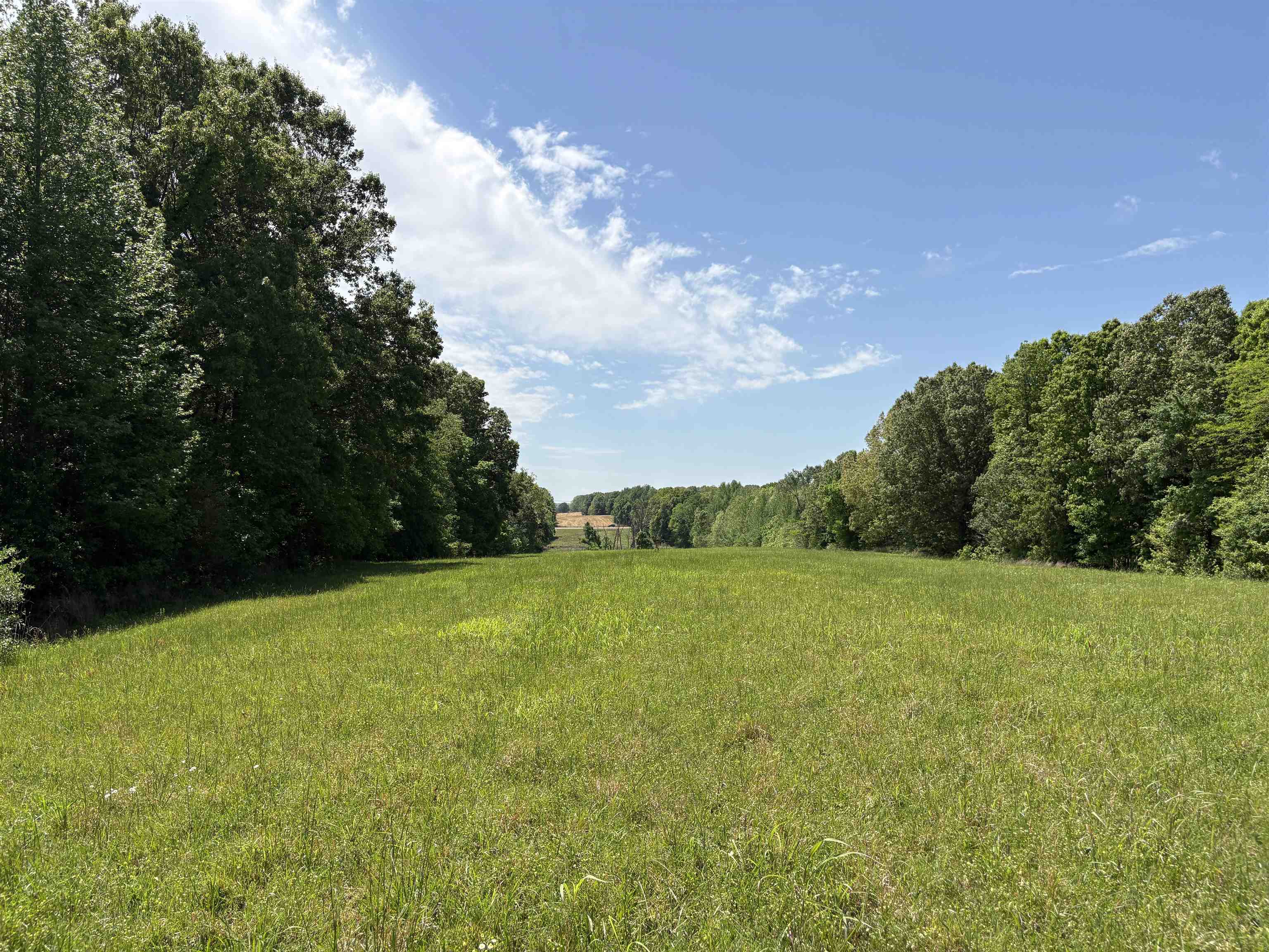 0 Osborntown Rd 60 Property Photo 15
