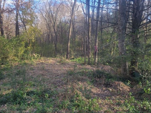 Kay Ln Property Photo 6