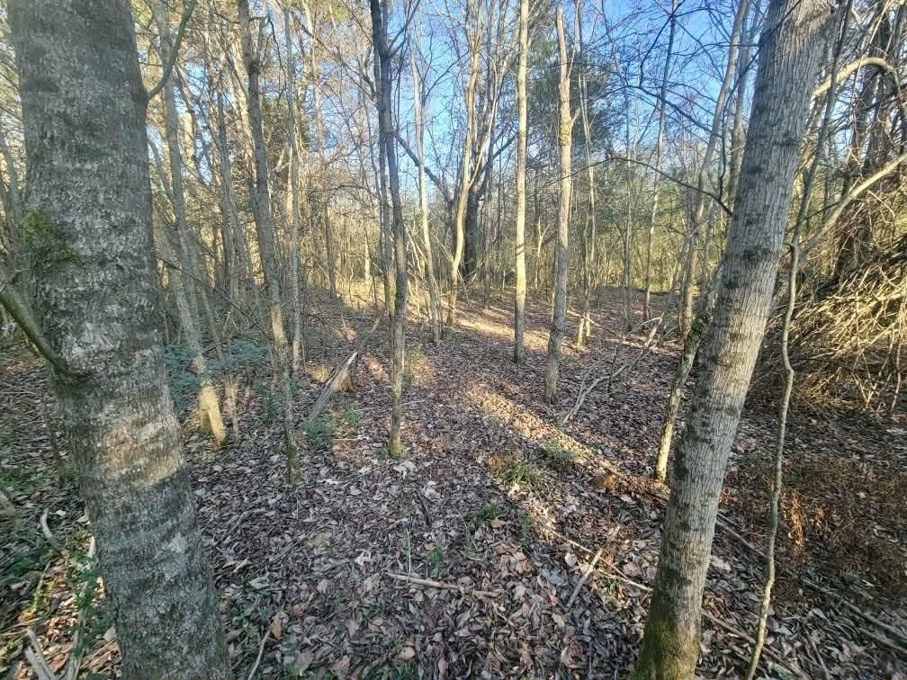 Kay Ln Property Photo 8