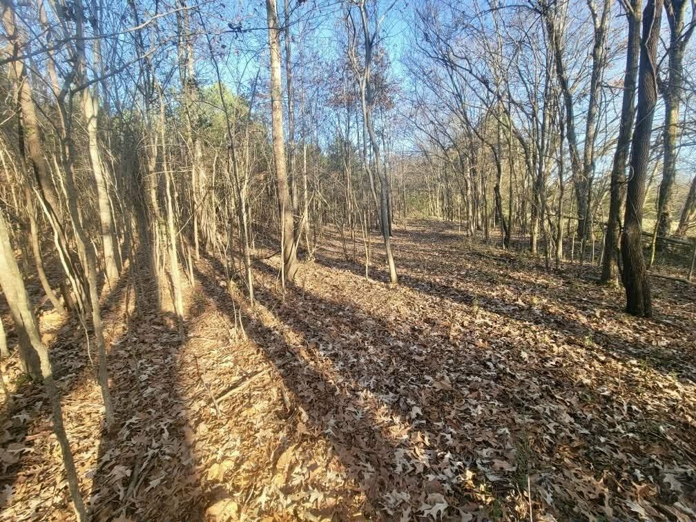 Kay Ln Property Photo 11