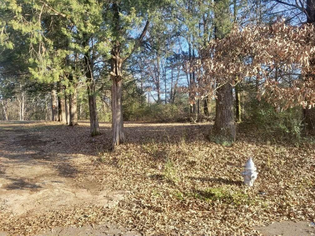 Kay Ln Property Photo 12
