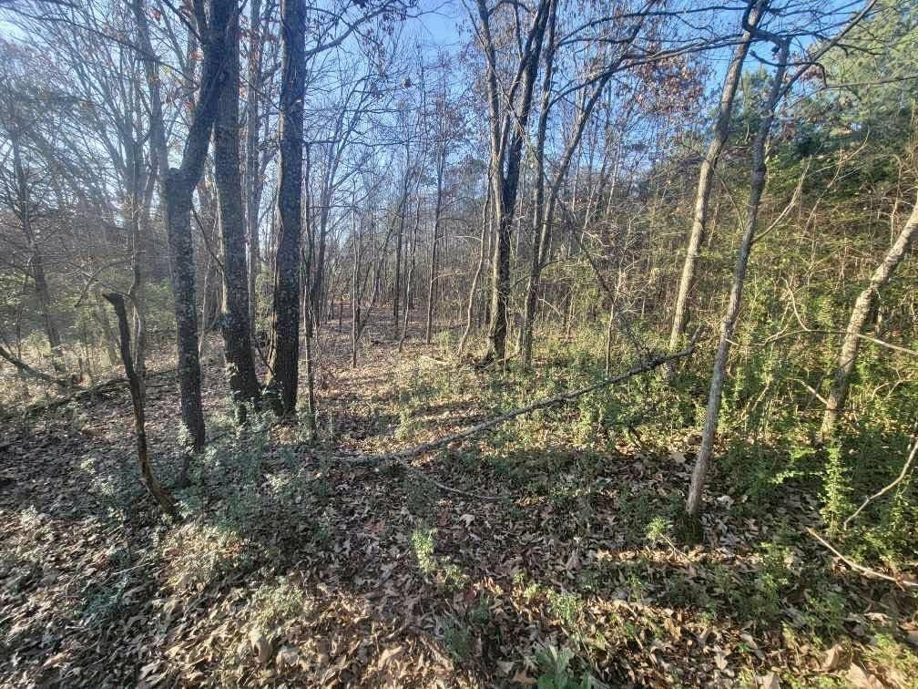 Kay Ln Property Photo 13
