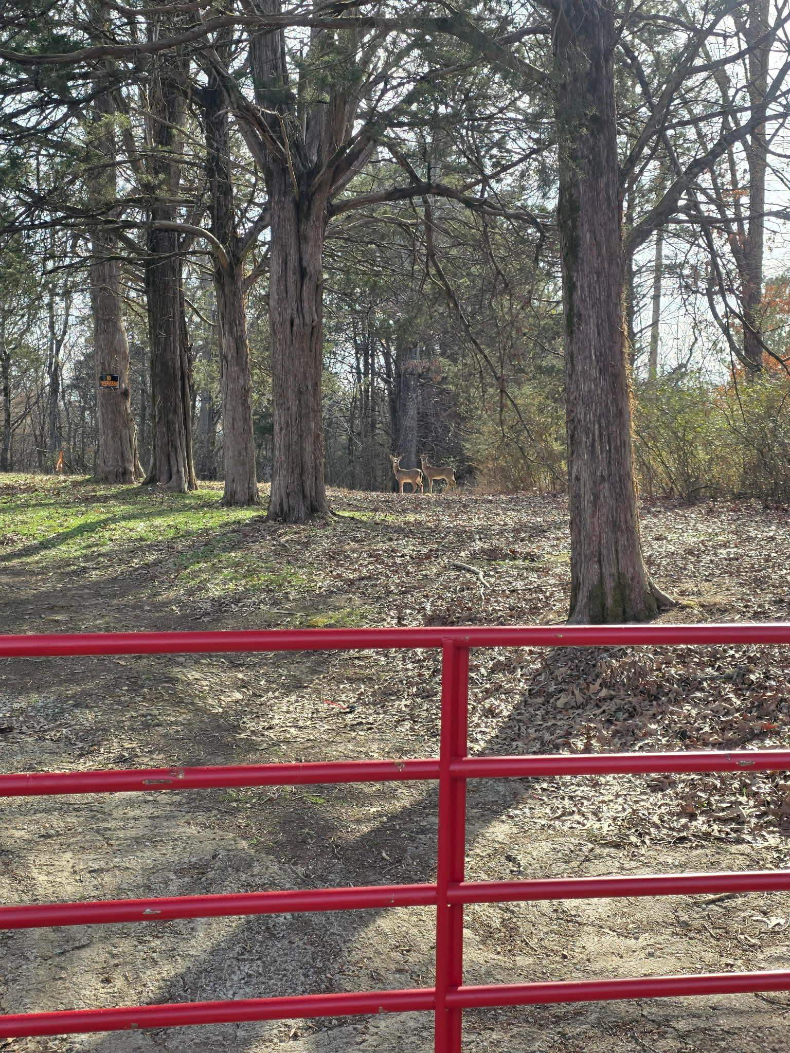 Kay Ln Property Photo 17