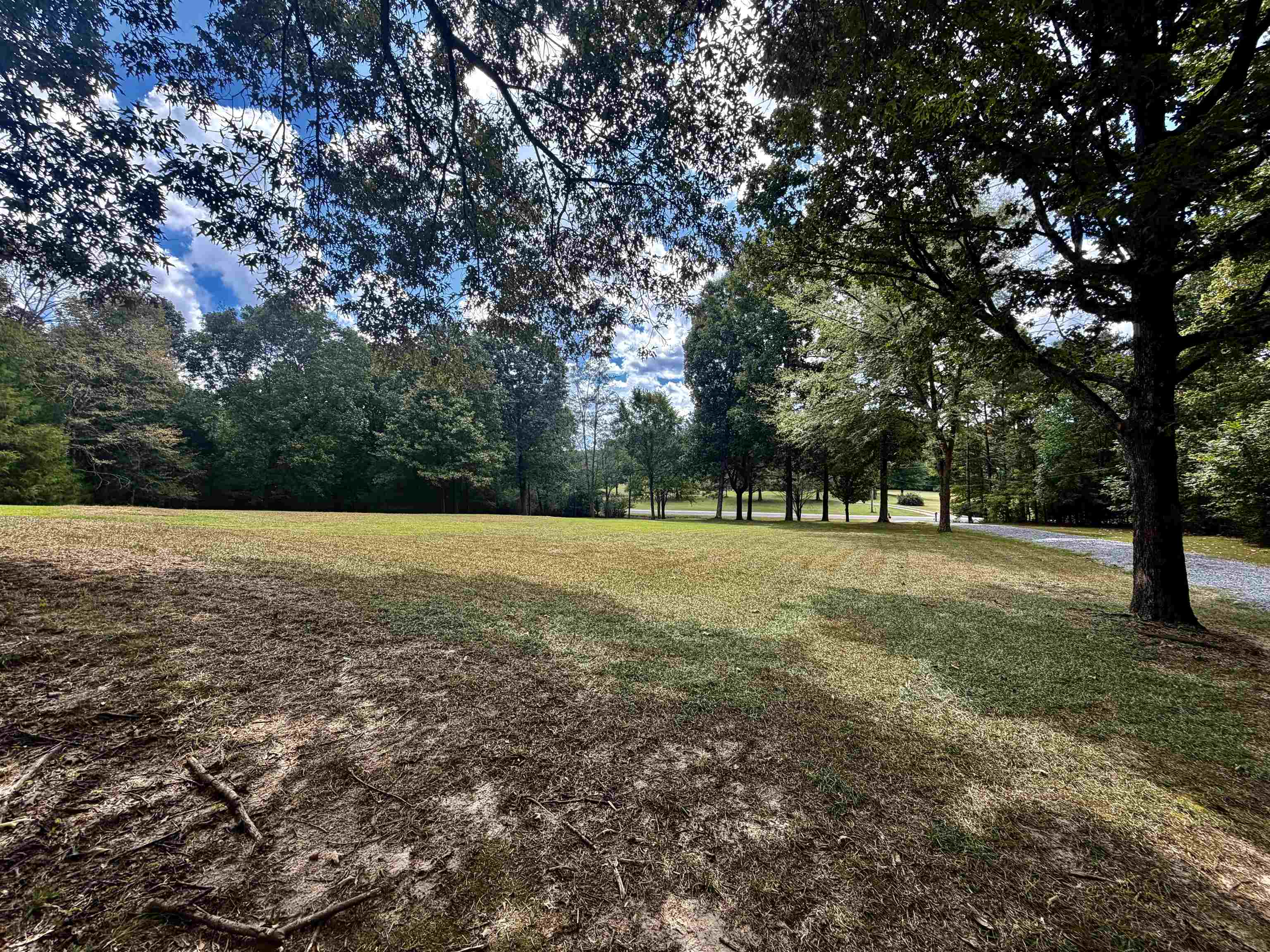 1155 Asbury Dr Property Photo 19