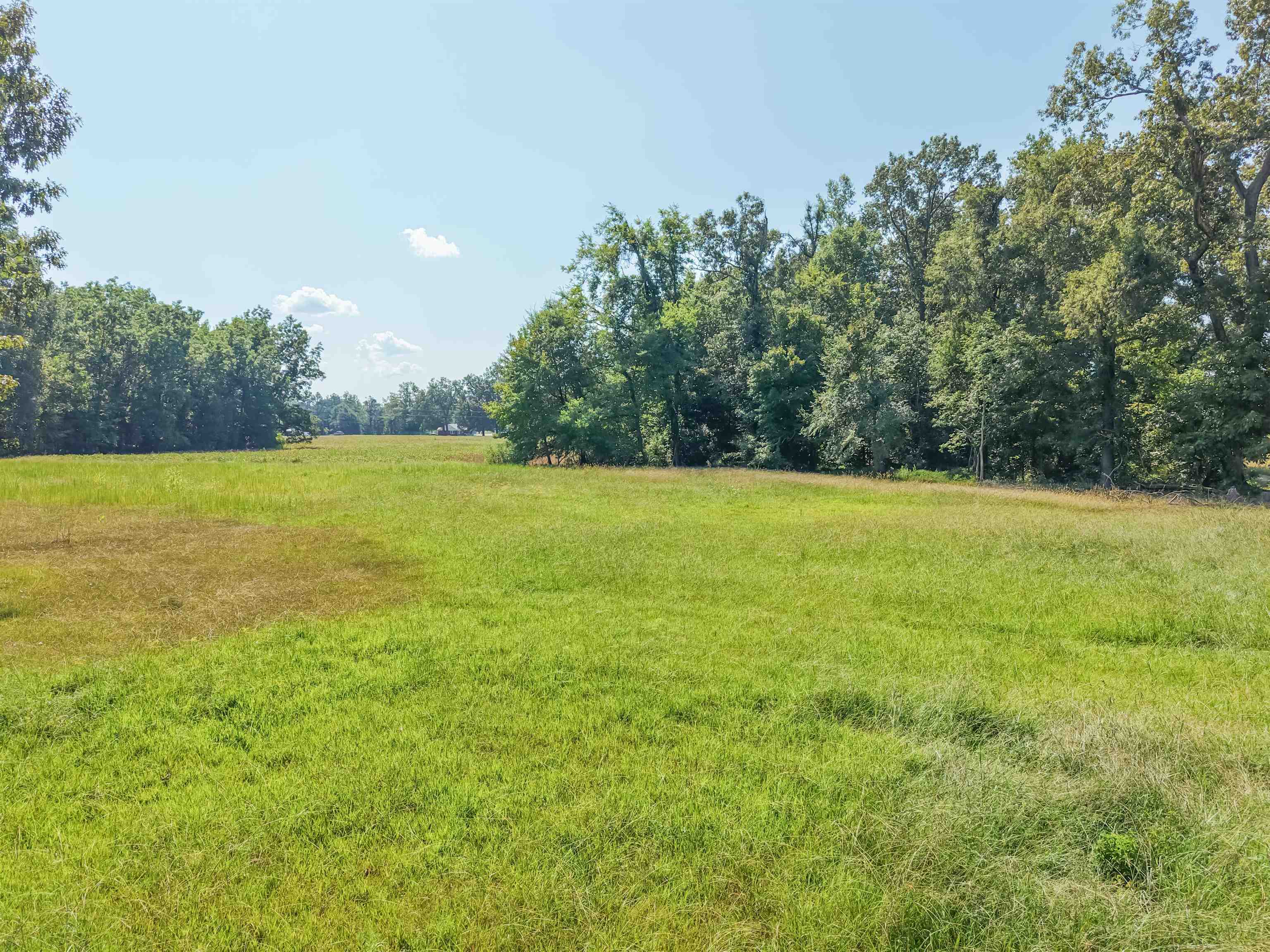 0 Allen Mccoy Rd Property Photo 5