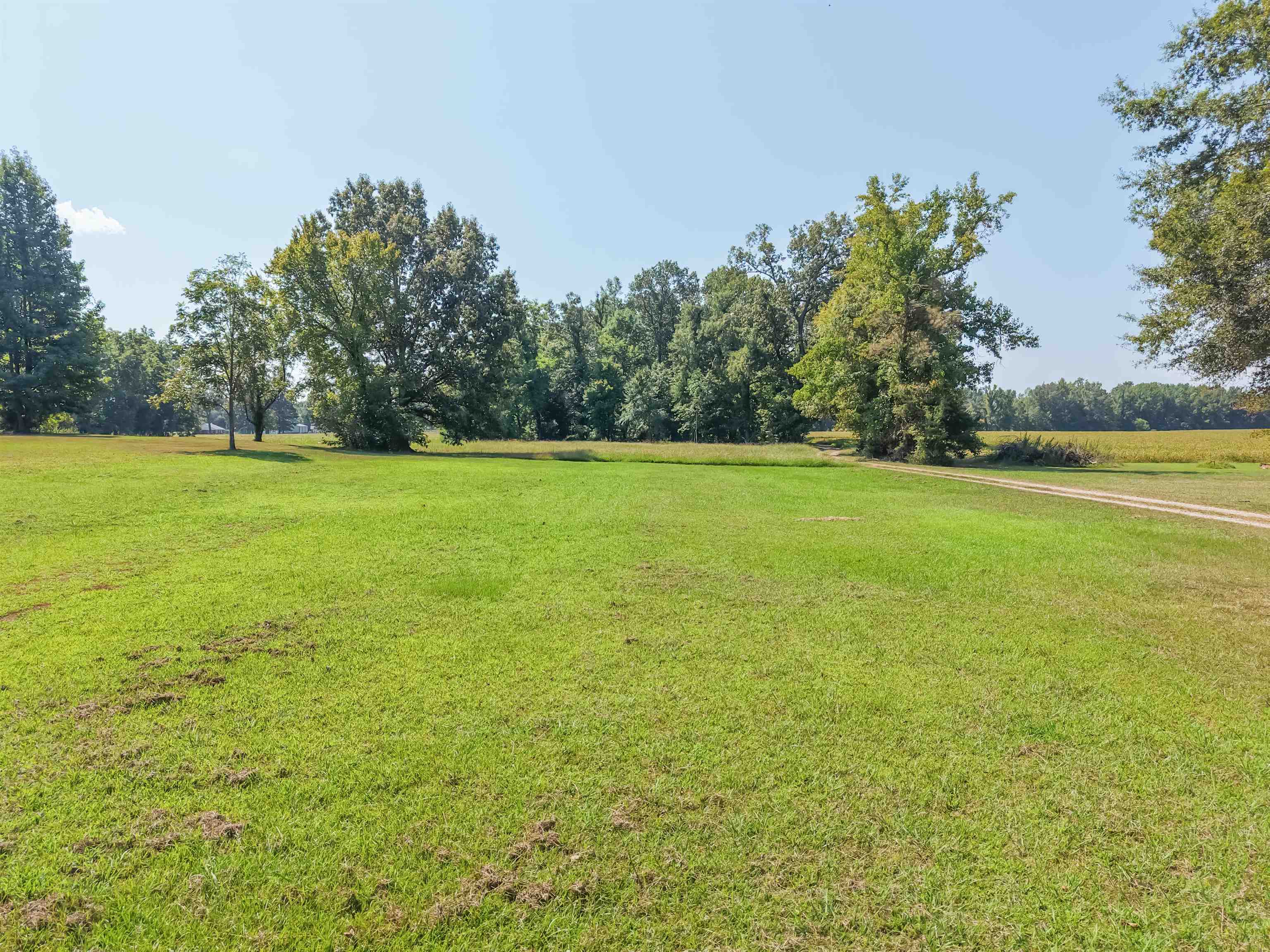 0 Allen Mccoy Rd Property Photo 6