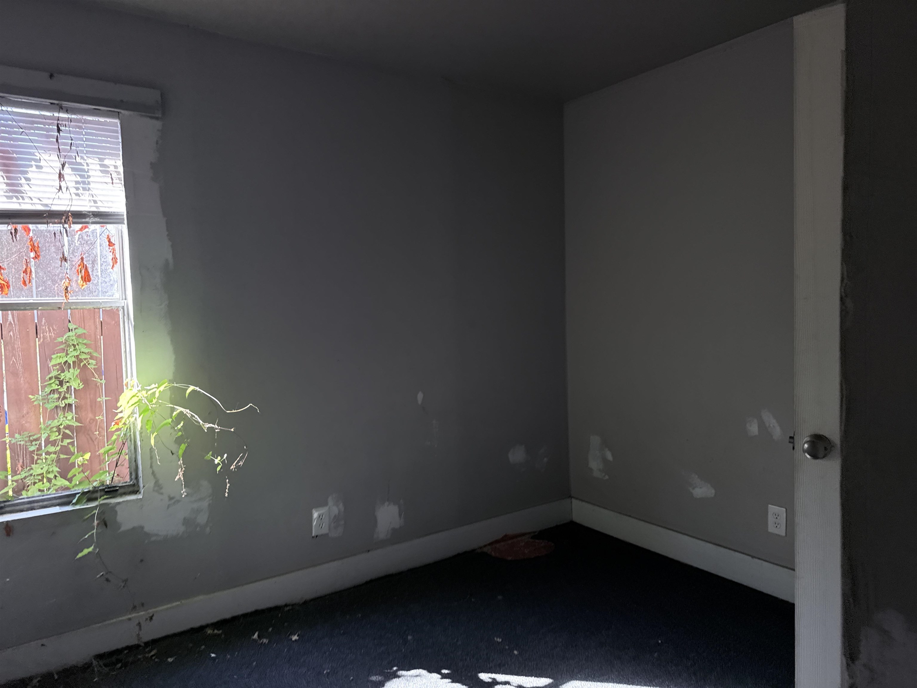 324 Gannts St A Property Photo 19