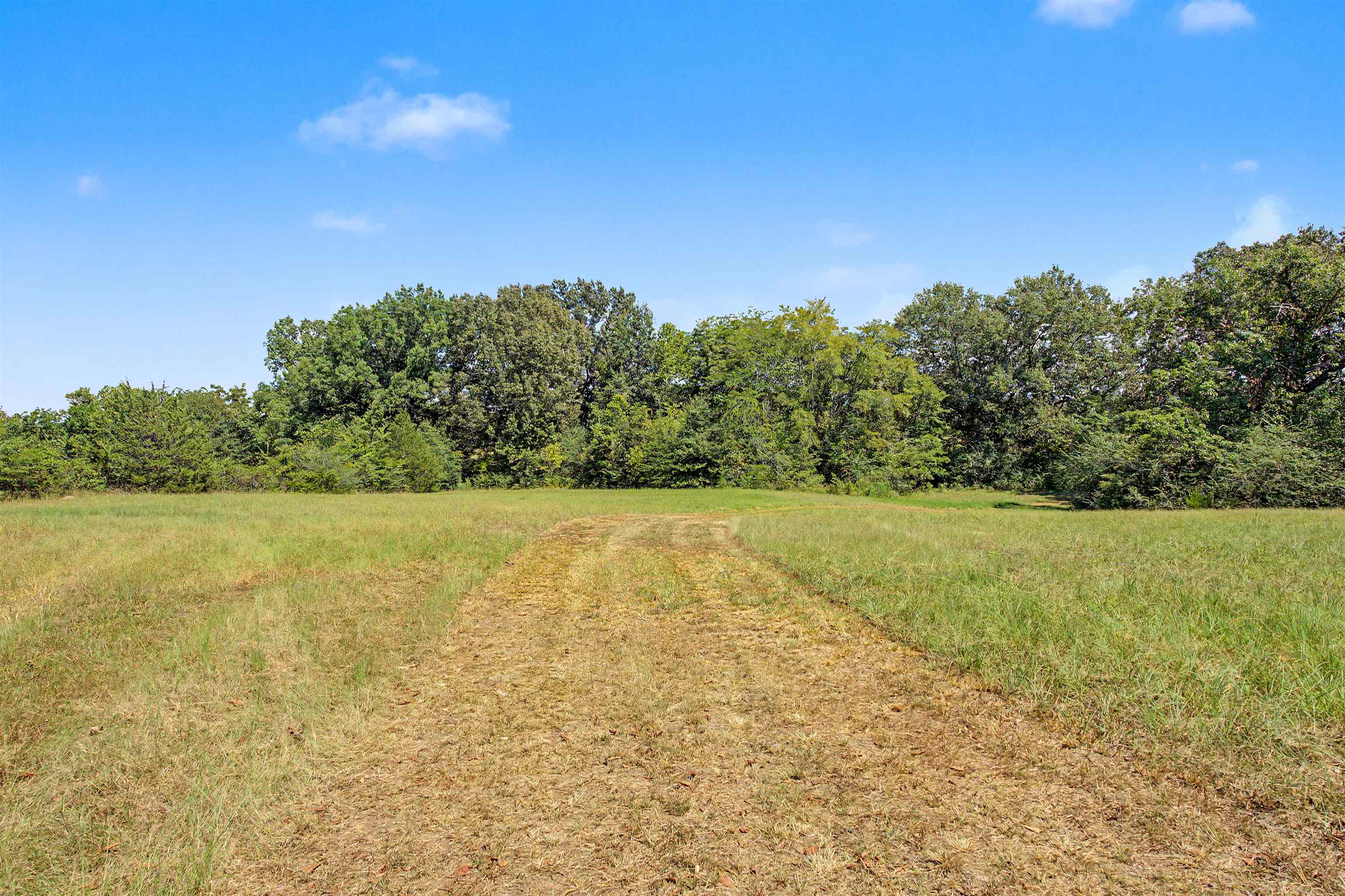 3350 Fisherville Rd Property Photo 4