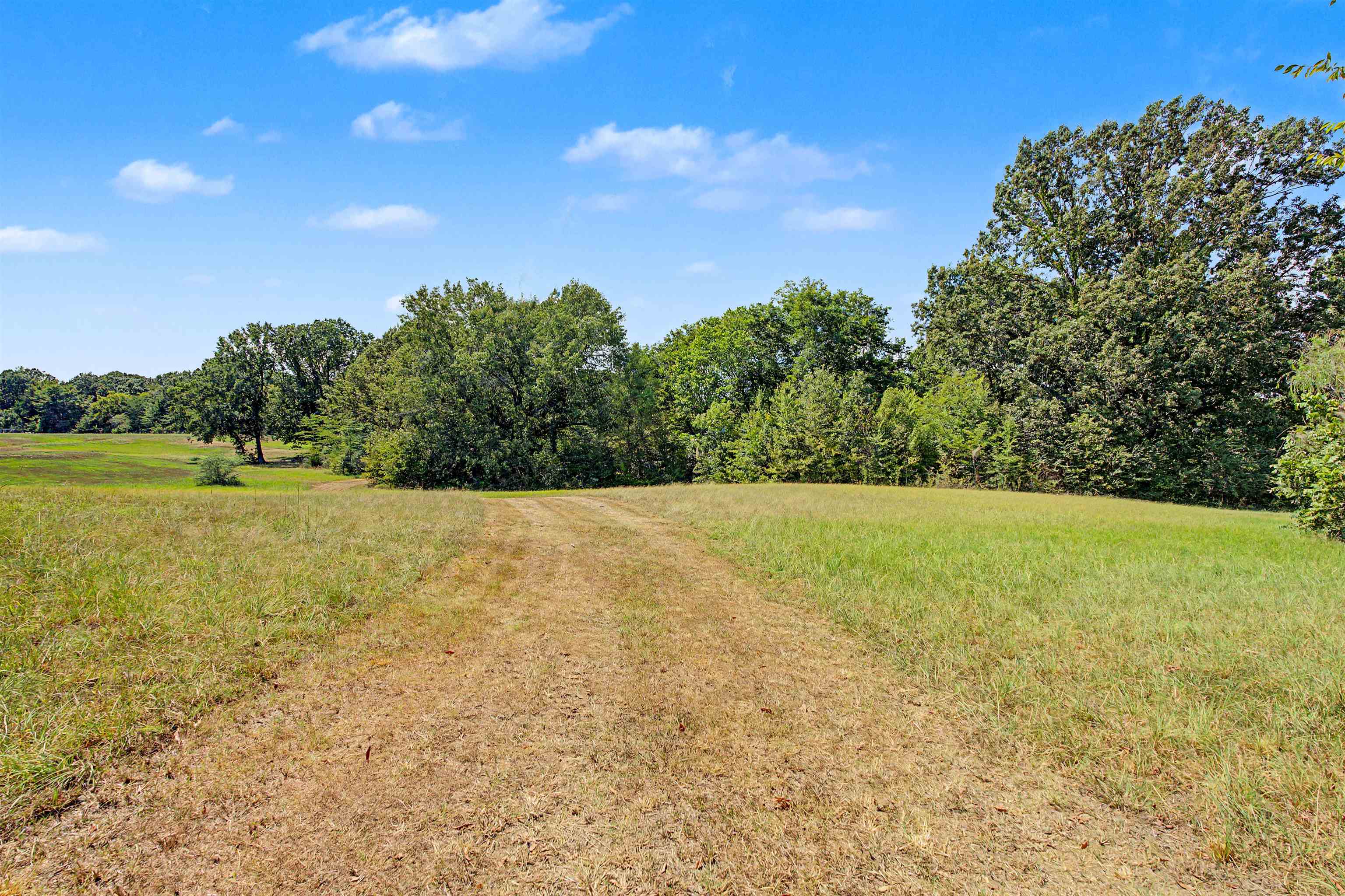 3350 Fisherville Rd Property Photo 5