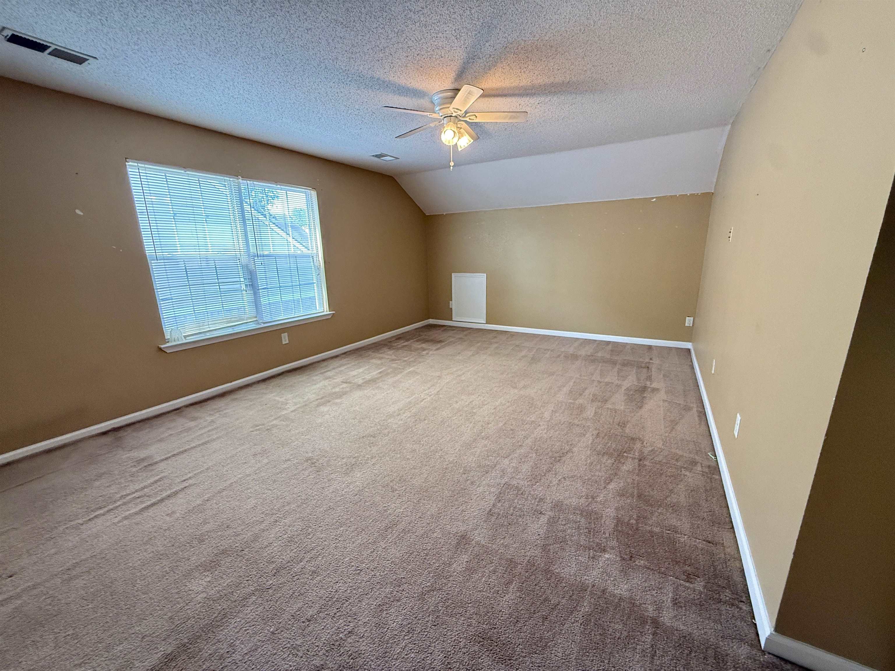 12130 Misty Trl Property Photo 19