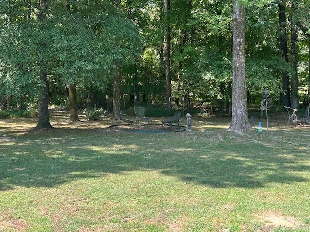 1285 Donelson Dr Property Photo 9
