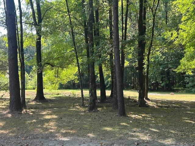 1285 Donelson Dr Property Photo 14