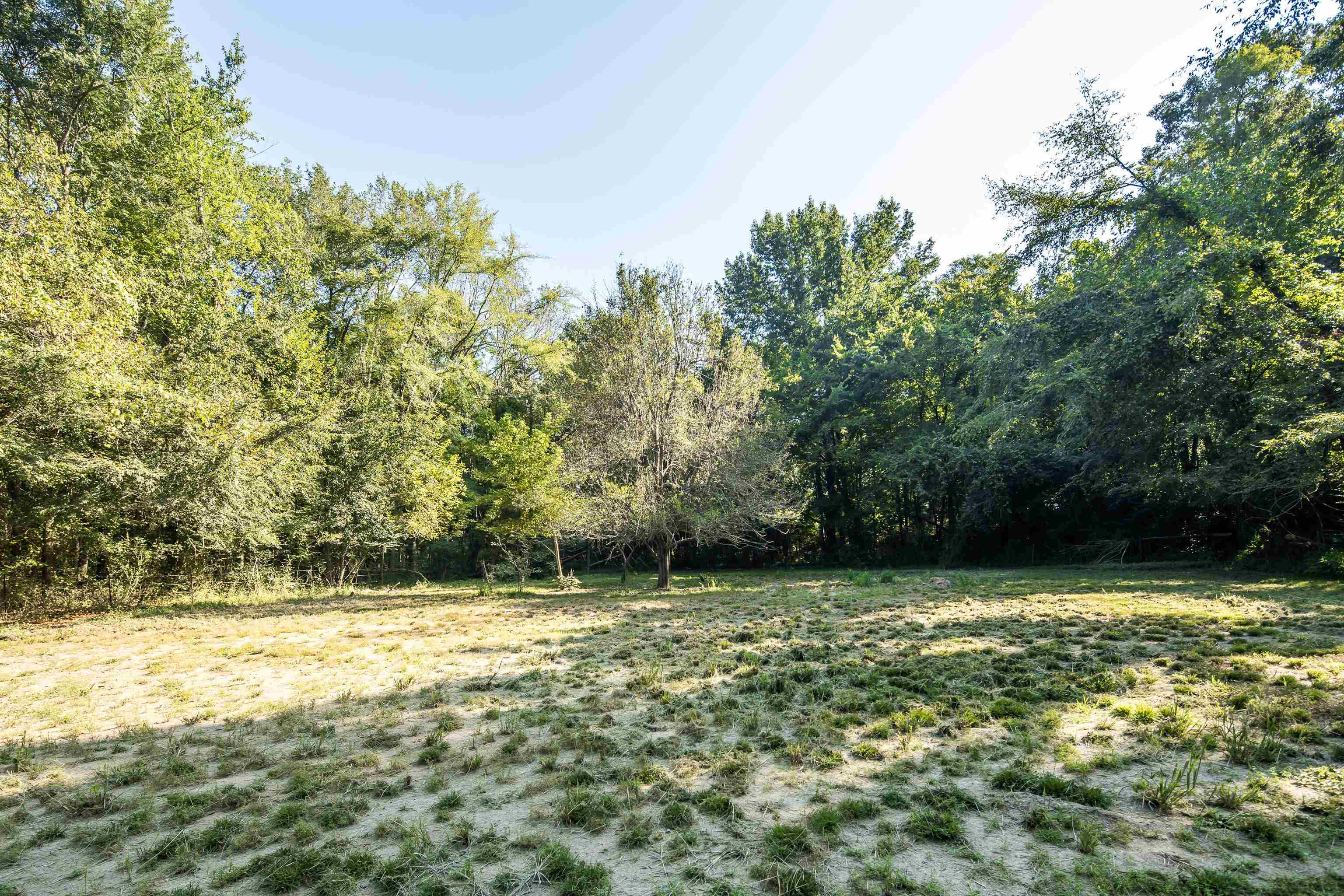 2350 Feathers Chapel Dr Property Photo 31