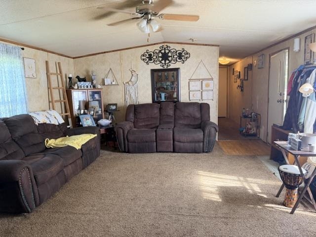 80 Hideaway Cv Property Photo 3