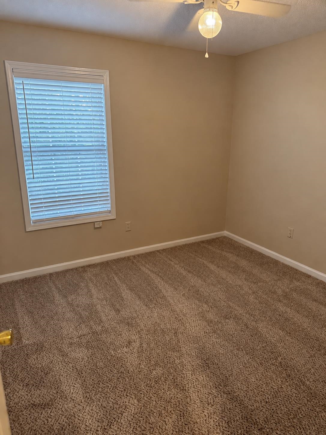 3719 Deer Forest Dr Property Photo 13