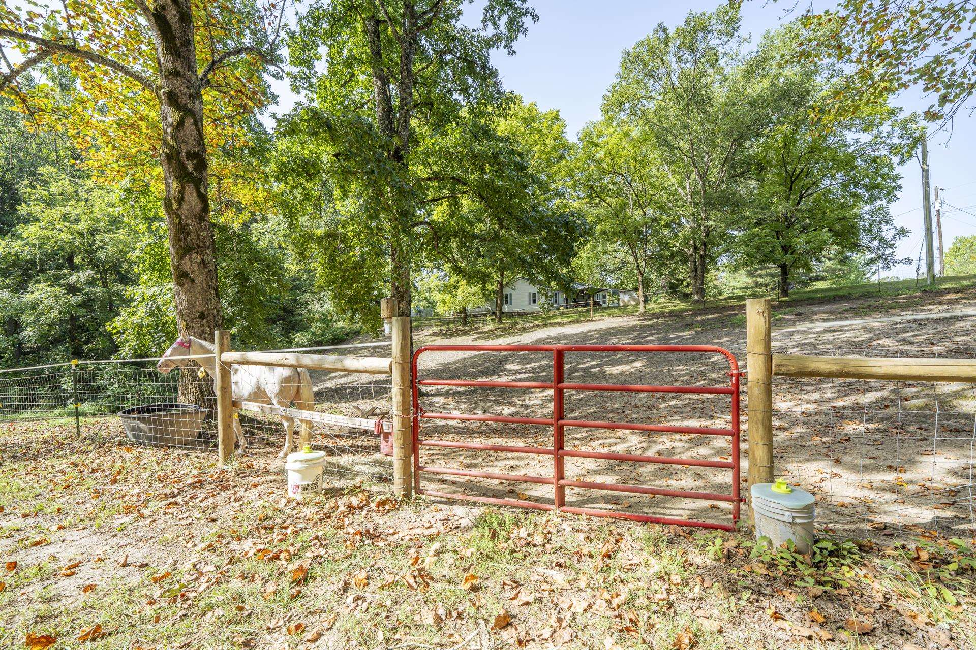 5171 Crawford School Rd Property Photo 23