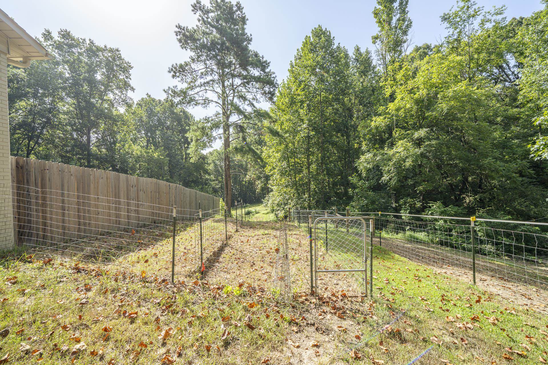 5171 Crawford School Rd Property Photo 24