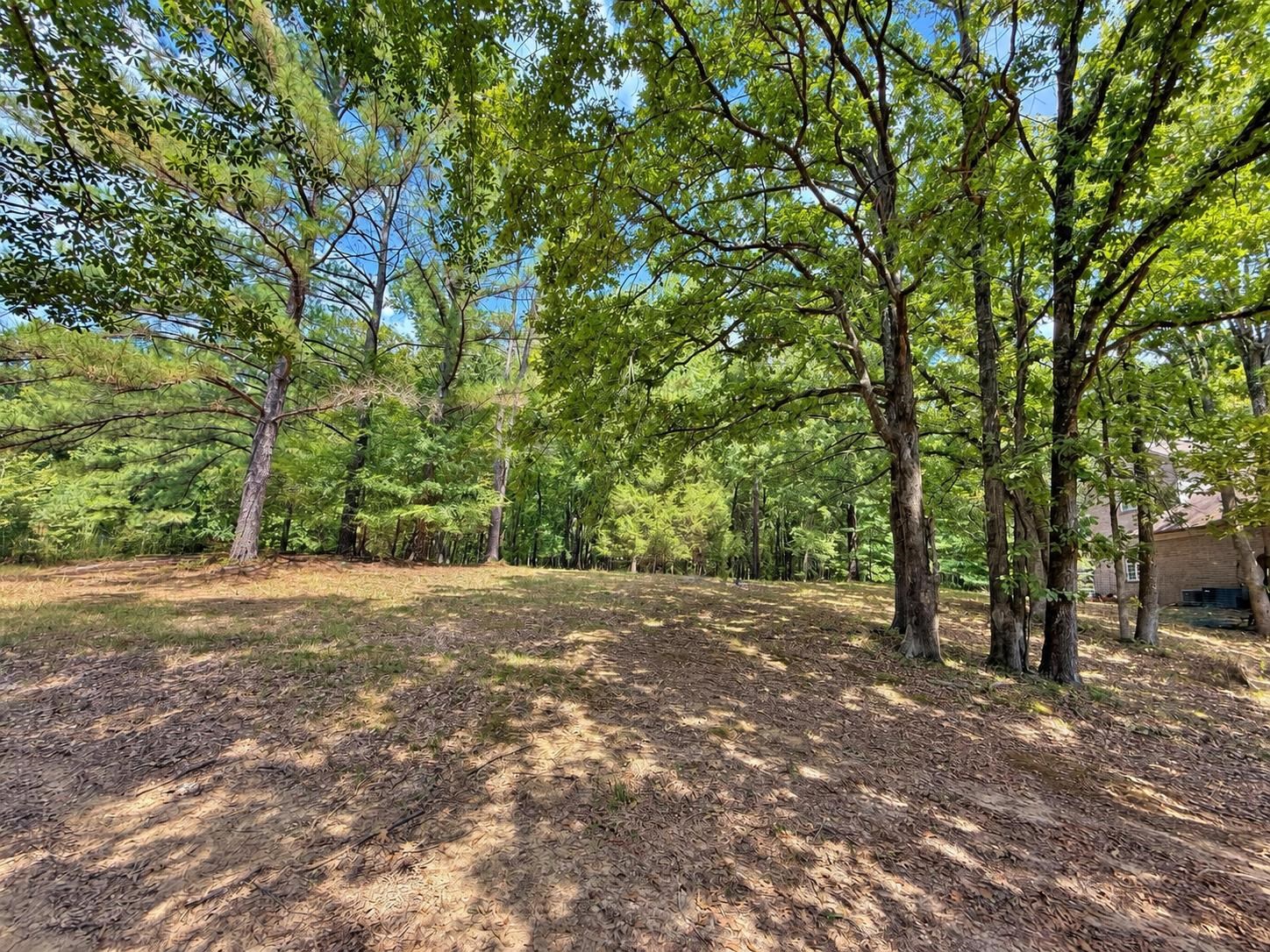 1655 Cherry Rd Property Photo 21