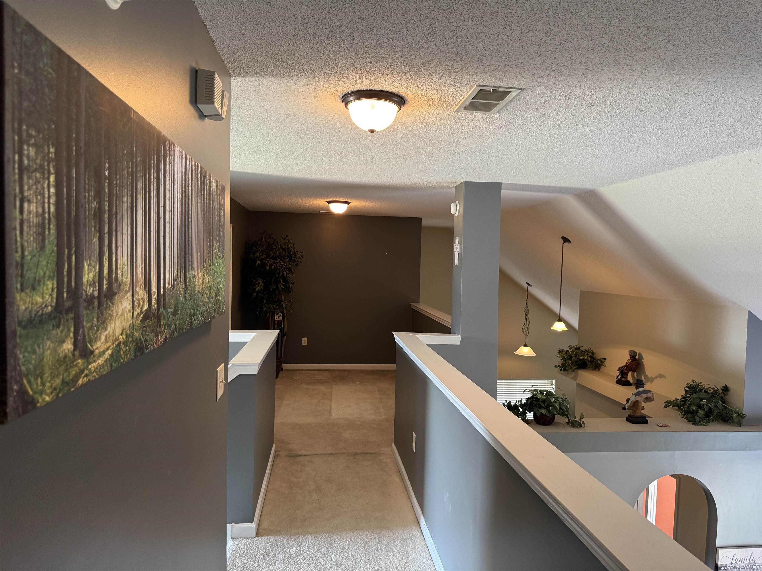 7506 Bevy Ridge Ln Property Photo 16