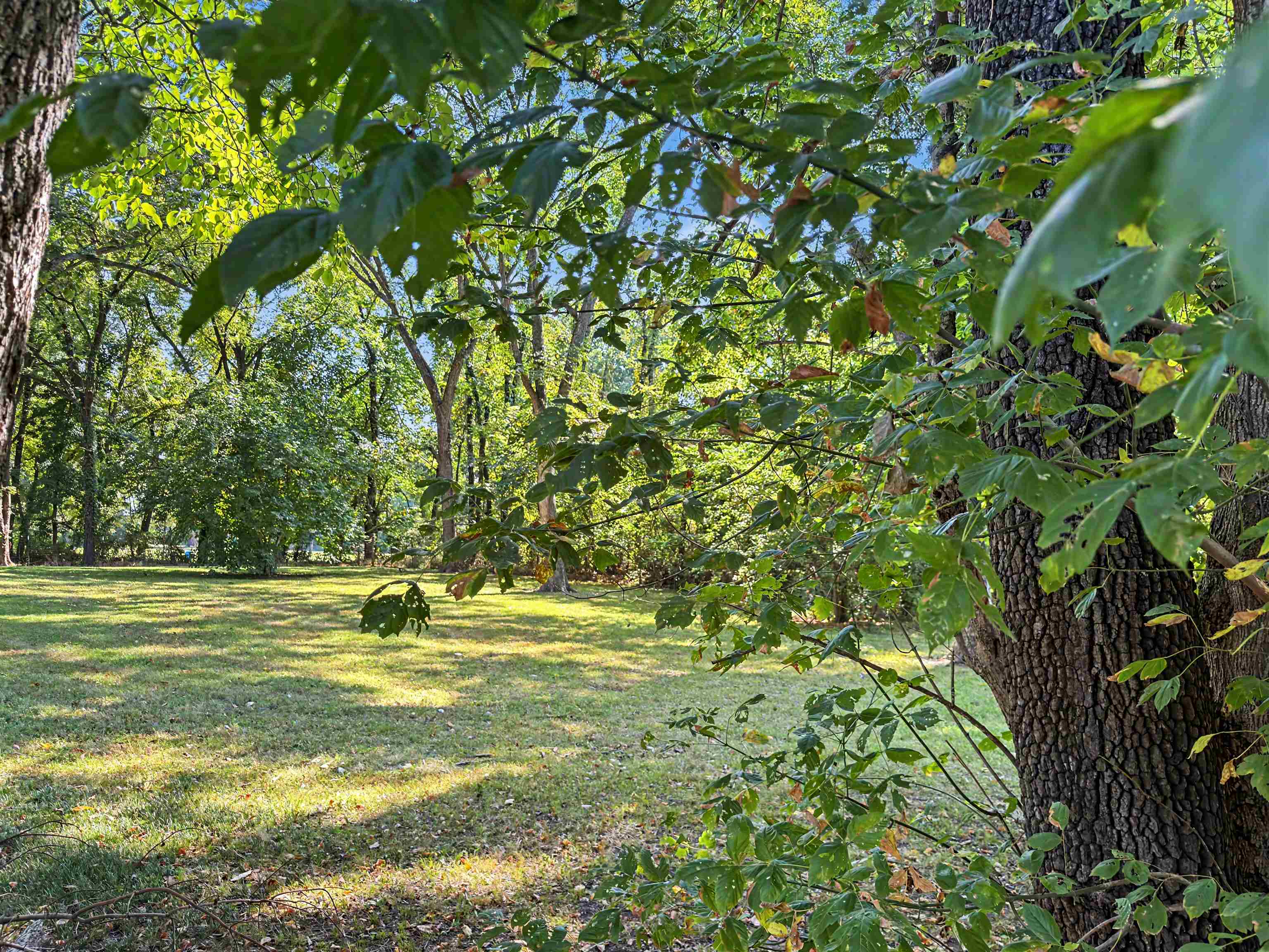 4036 Shelby Rd Property Photo 3
