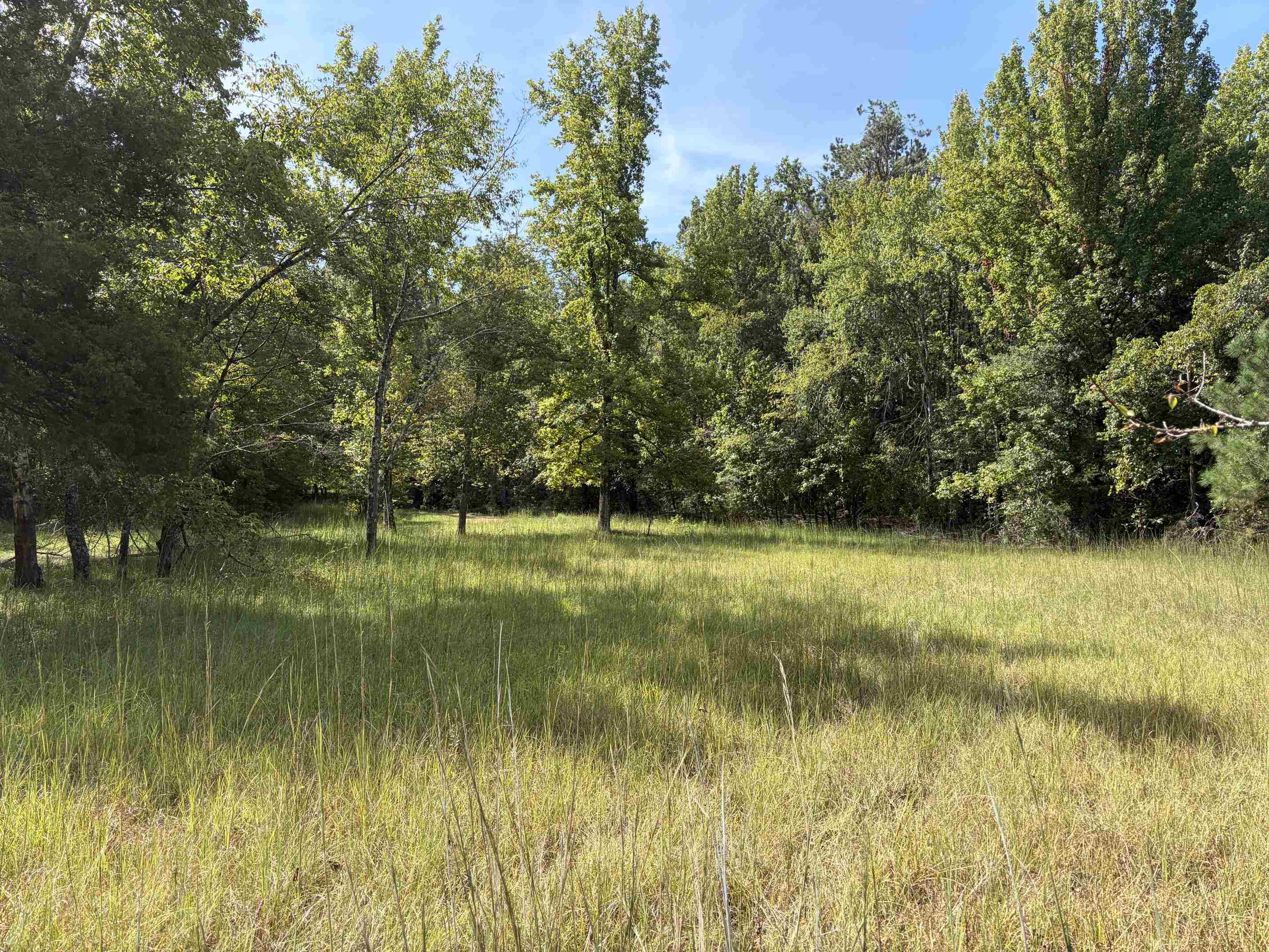 230 B And K Way Property Photo 1